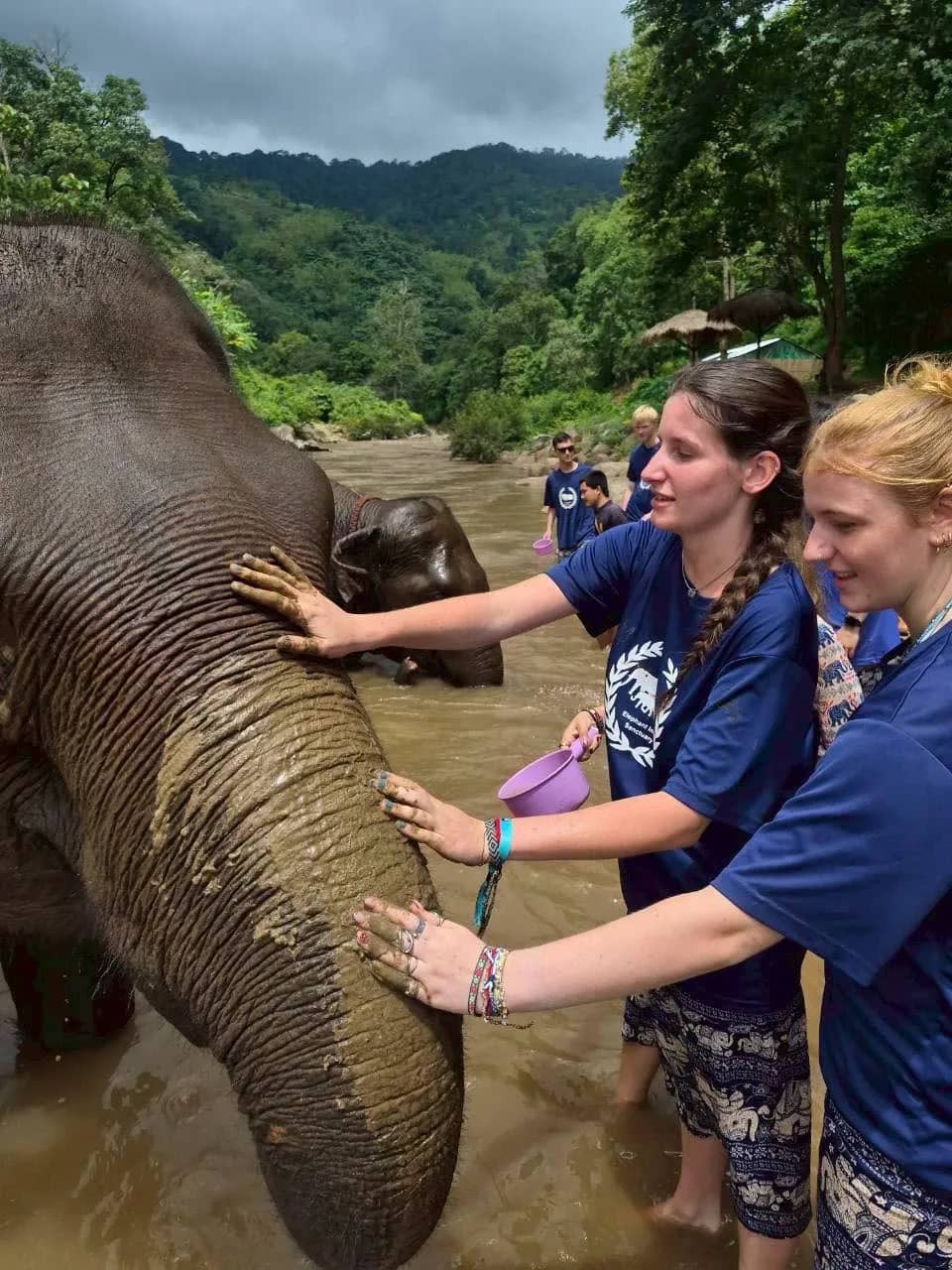 Elephant Care + Bamboo Rafting & Trek to Waterfall