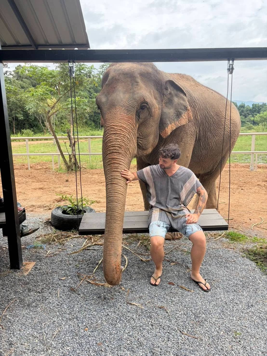 Elephant Fun Friend