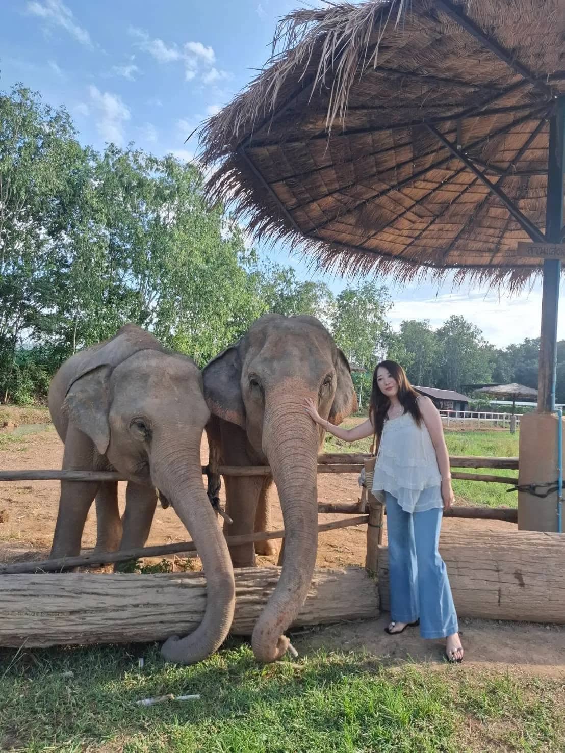Elephant Fun Friend - photo 2