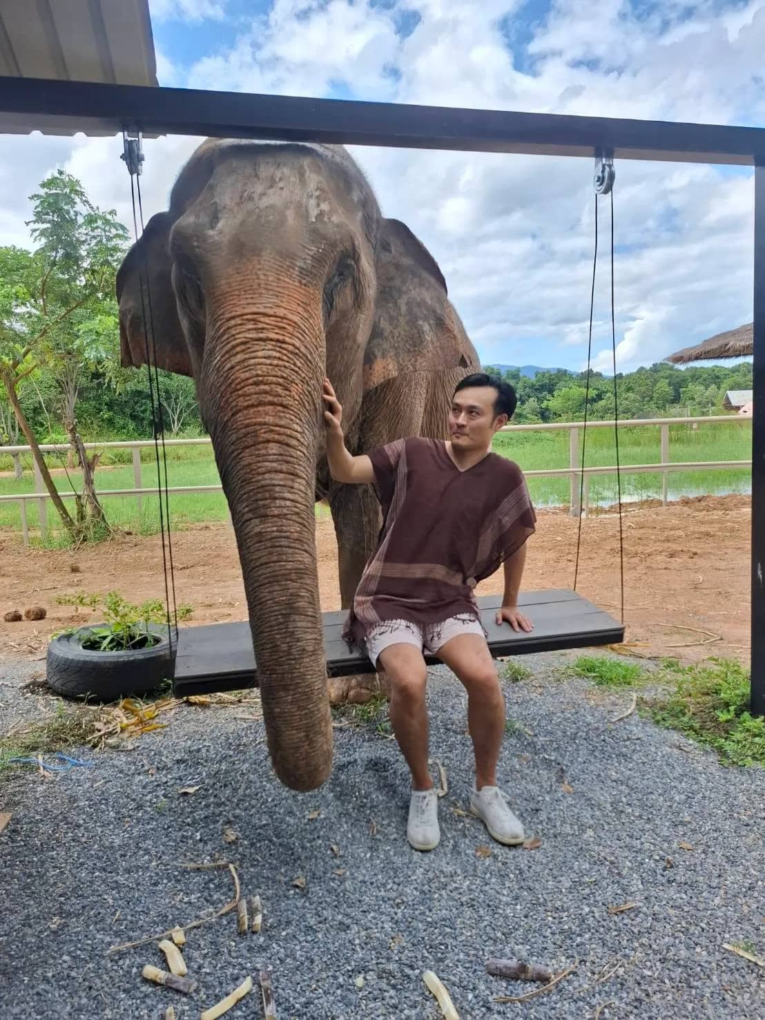 Elephant Fun Friend - photo 3