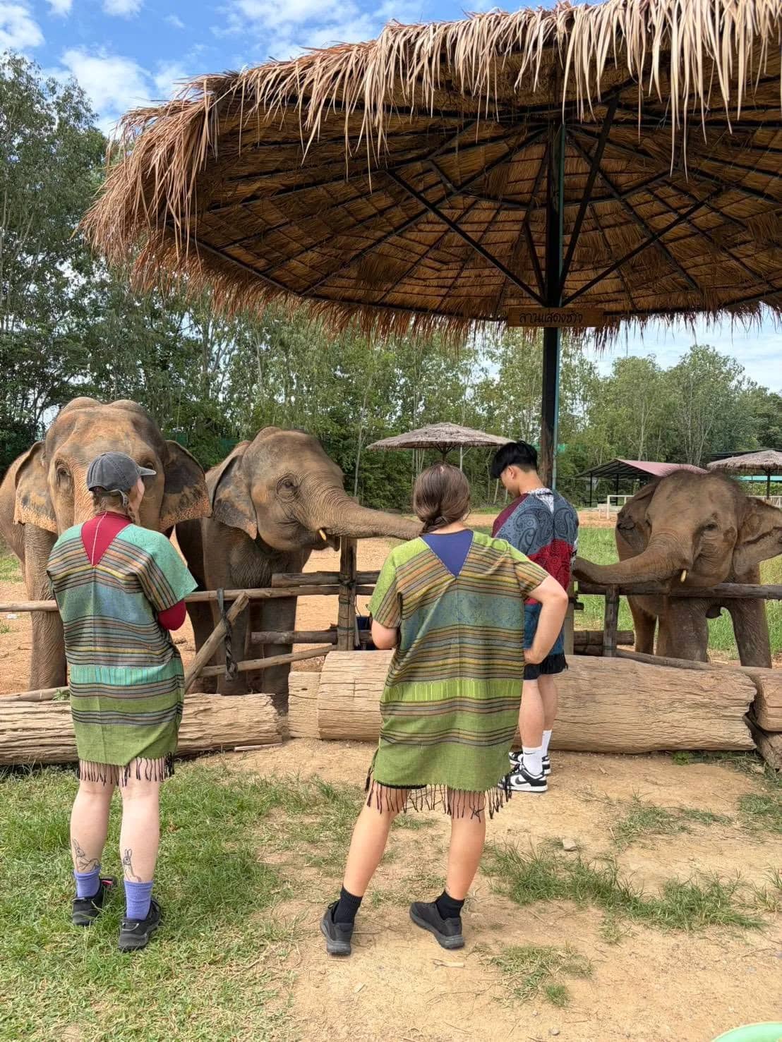 Elephant Fun Friend - photo 4