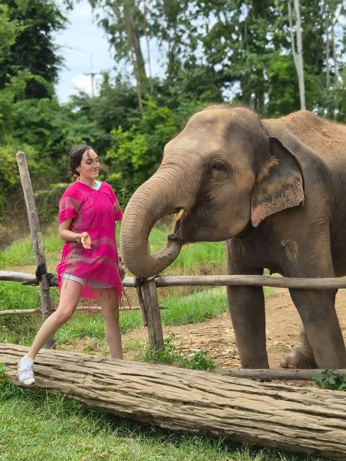 Elephant Fun Friend - photo 5