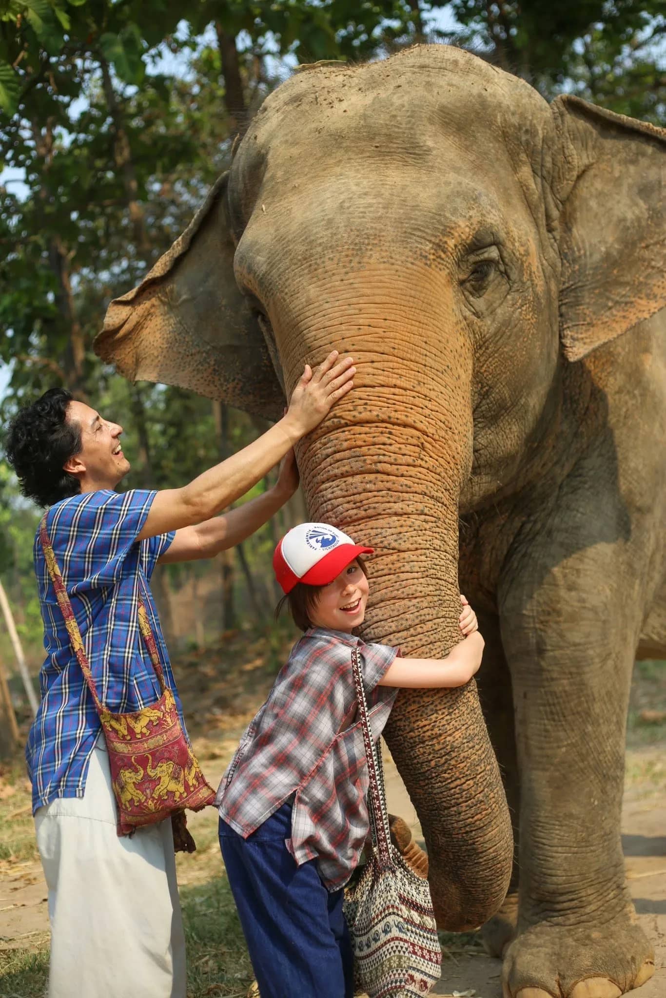 Elephant Greet & Feed - photo 2