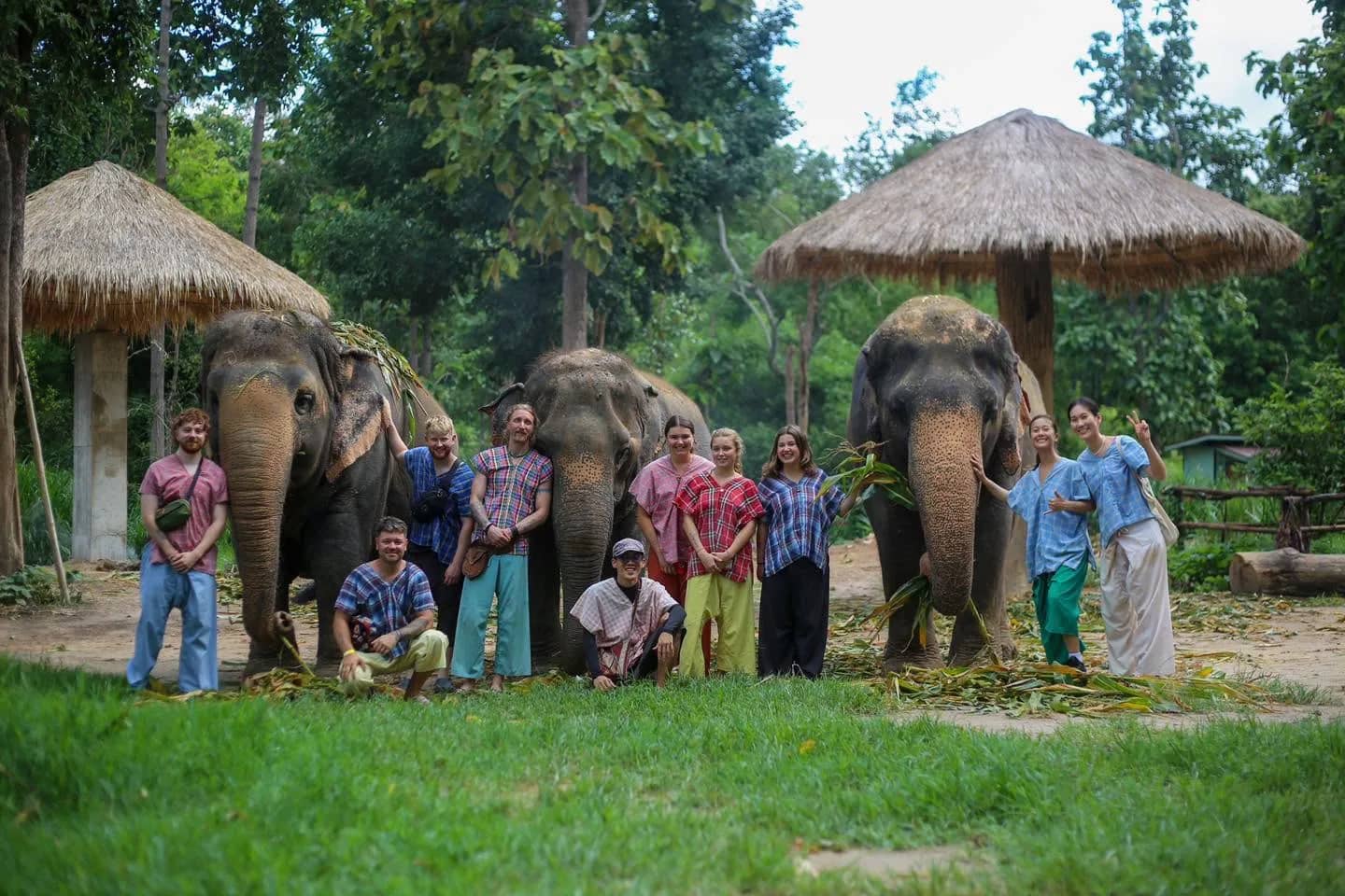 Elephant Greet & Feed - photo 3
