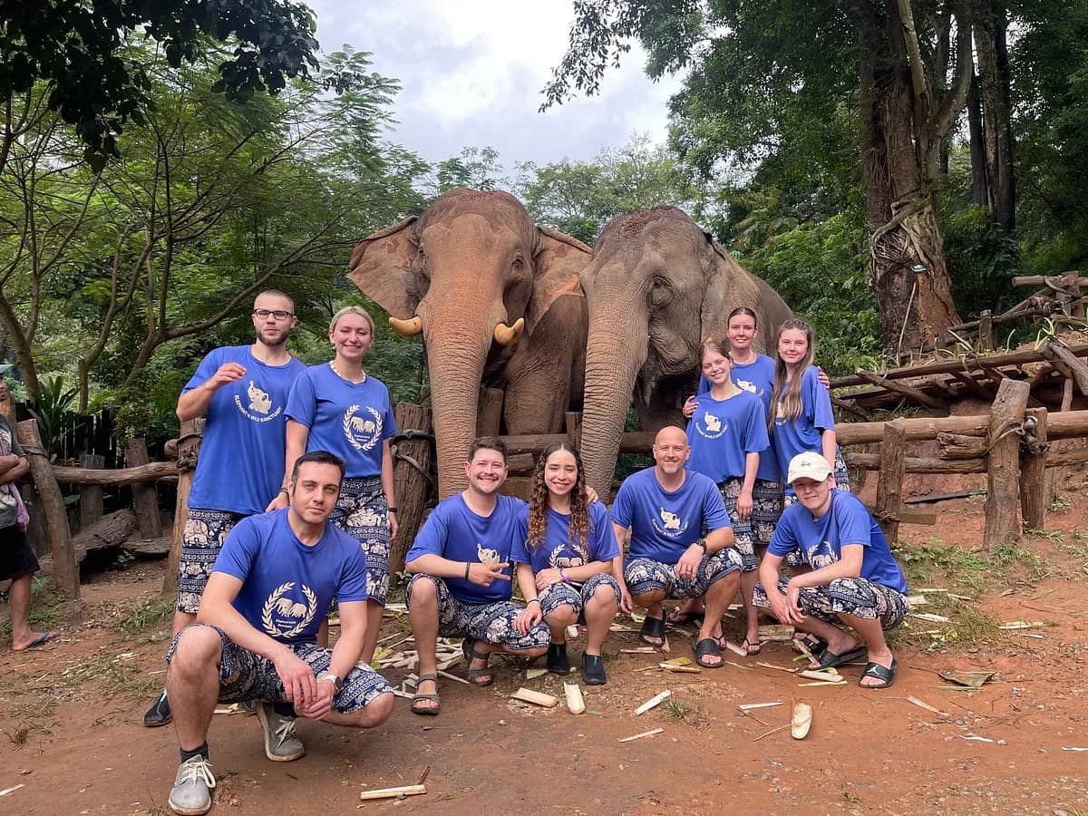 Elephant In Wild Sanctuary - Half Day Morning