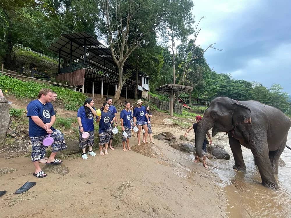 Elephant Care + Bamboo Rafting & Sticky Waterfall - photo 4