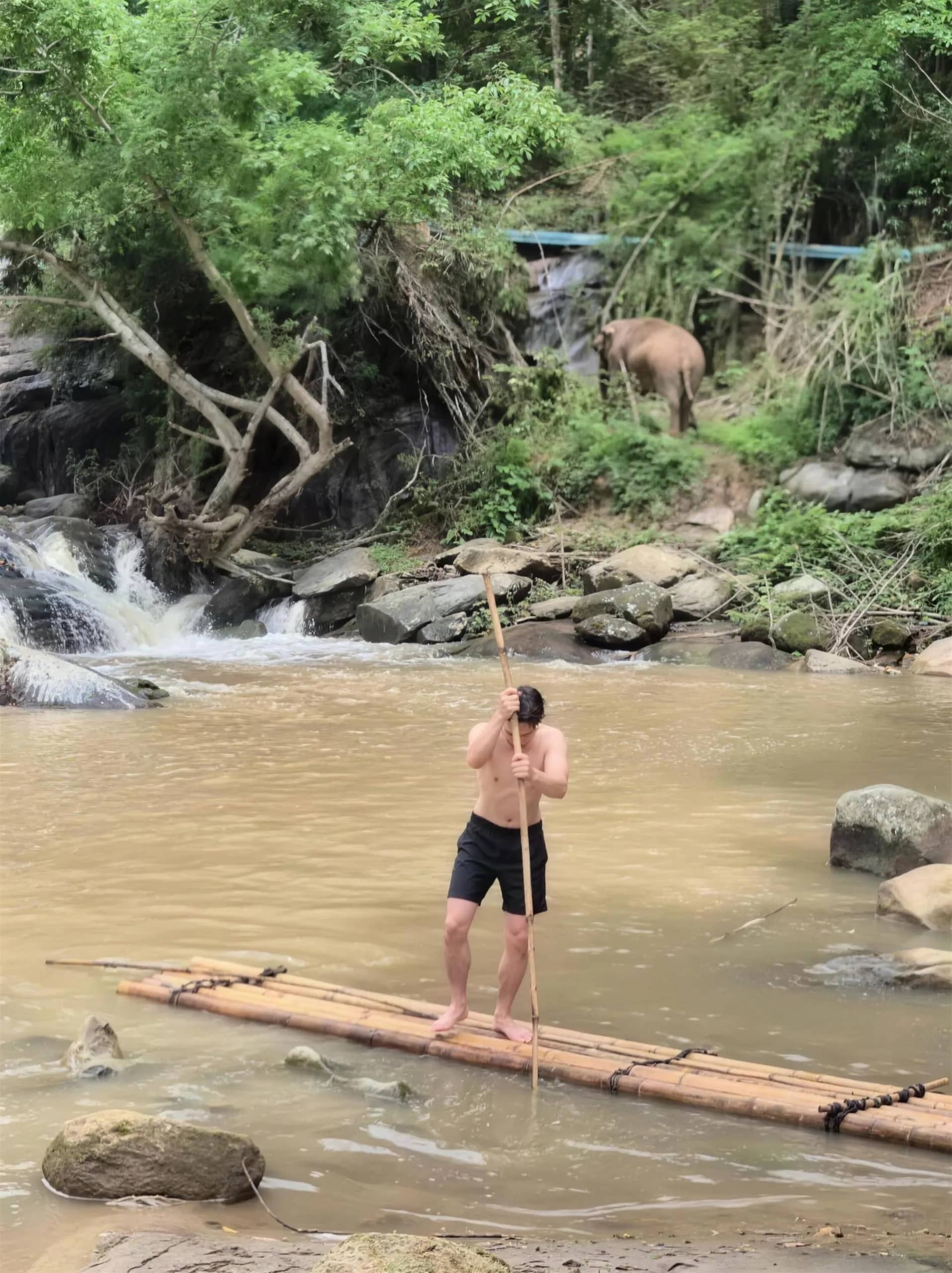 A man balances on a bamboo raft with a pole near a small waterfall and an elephant on the bank