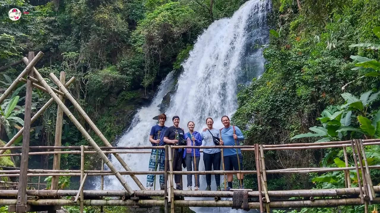 Elephant Observation & Doi Inthanon Hiking