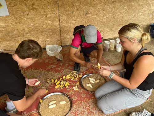 Elephant Observation & Authentic Thai Cooking Class - photo 3