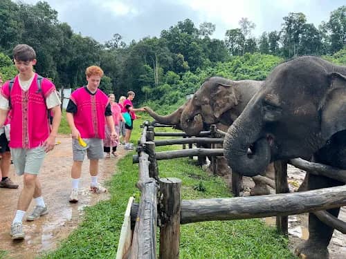 Elephant Observation & Authentic Thai Cooking Class - photo 5
