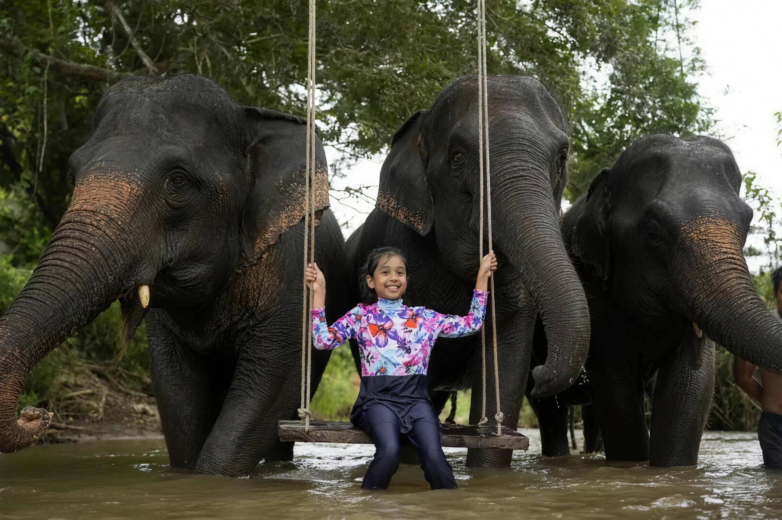 A girl sits on a rope swing in the river beside three elephants at the sanctuary