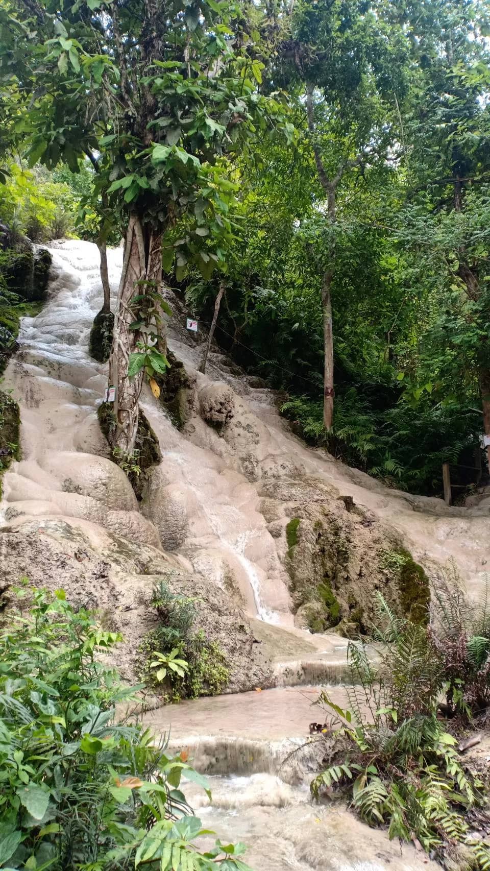 Elephant Care + Sticky Waterfall Tour - photo 8
