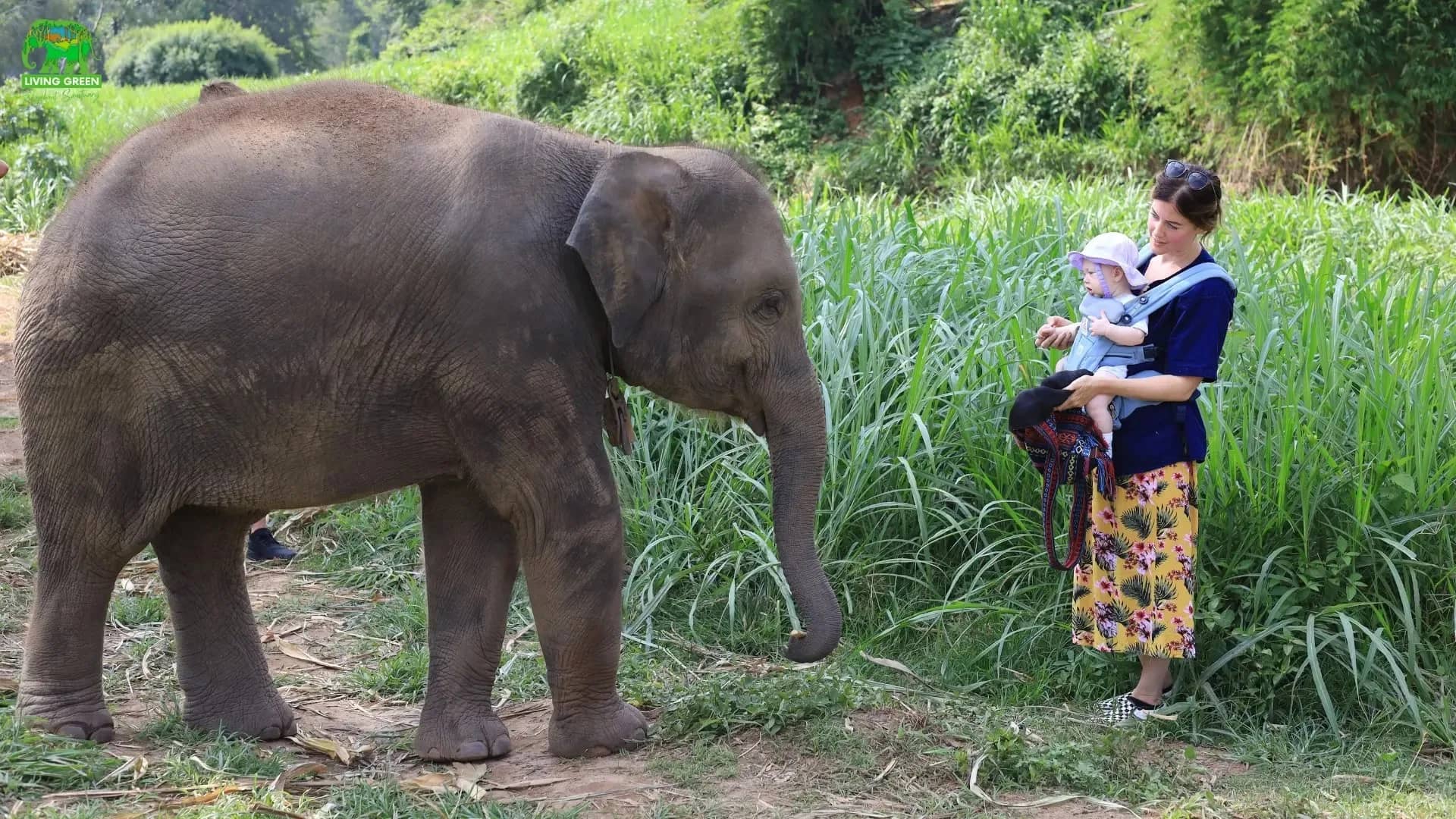 Elephant Sanctuary + Inthanon Hiking - photo 5