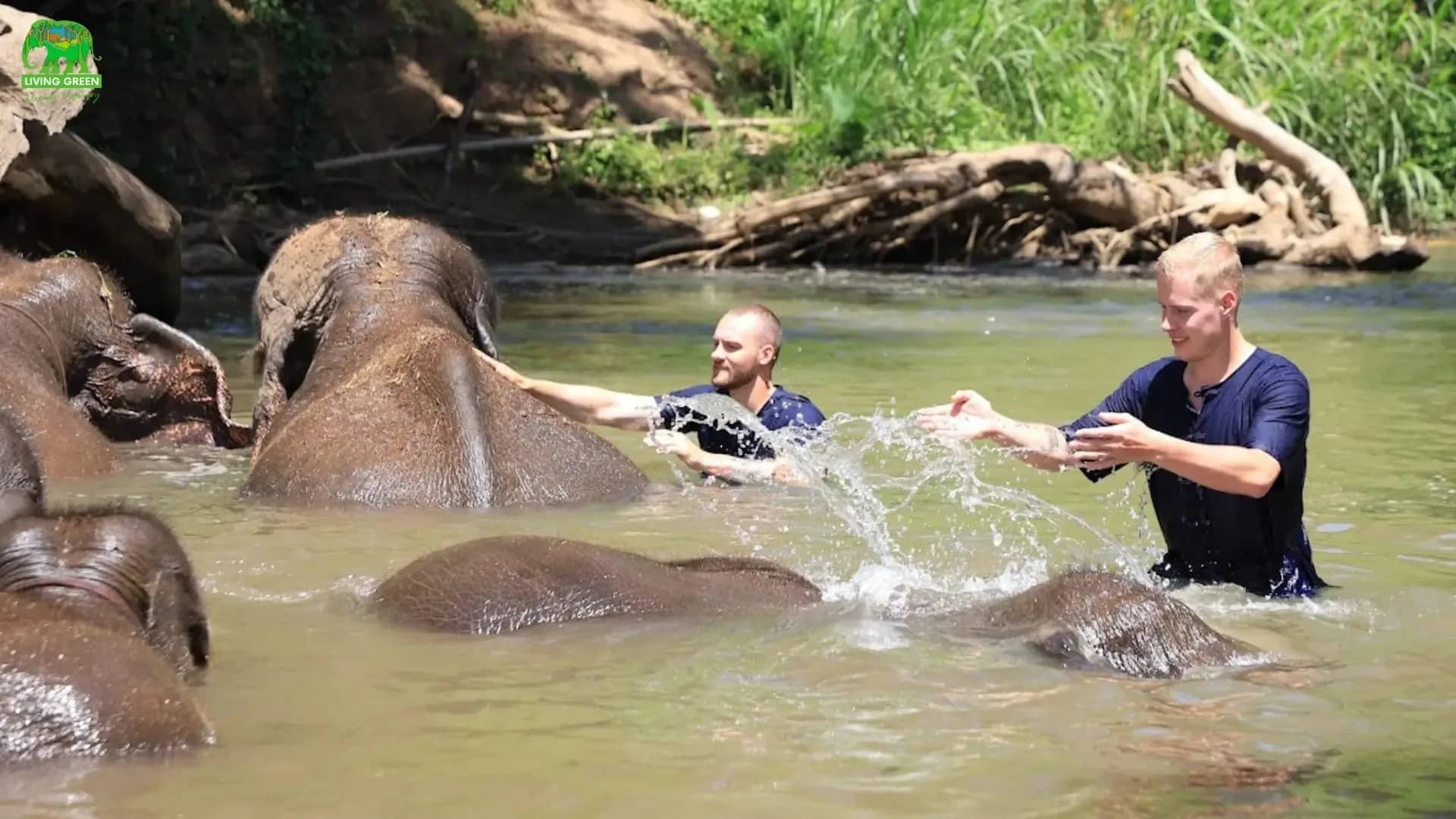 Elephant Sanctuary + Inthanon Hiking - photo 7