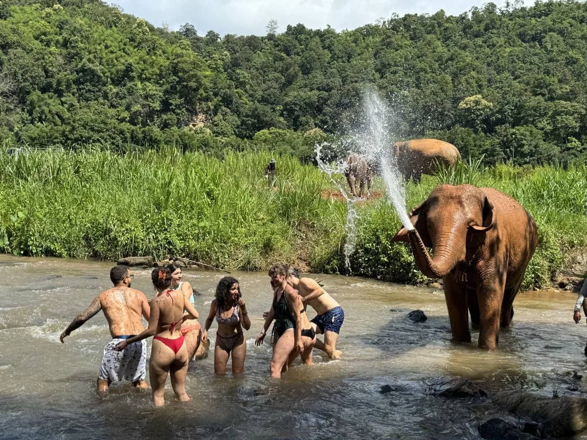 Elephant Sanctuary - Waterfall Tour - photo 2