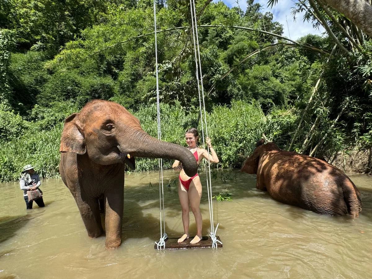 Elephant Sanctuary - Waterfall Tour