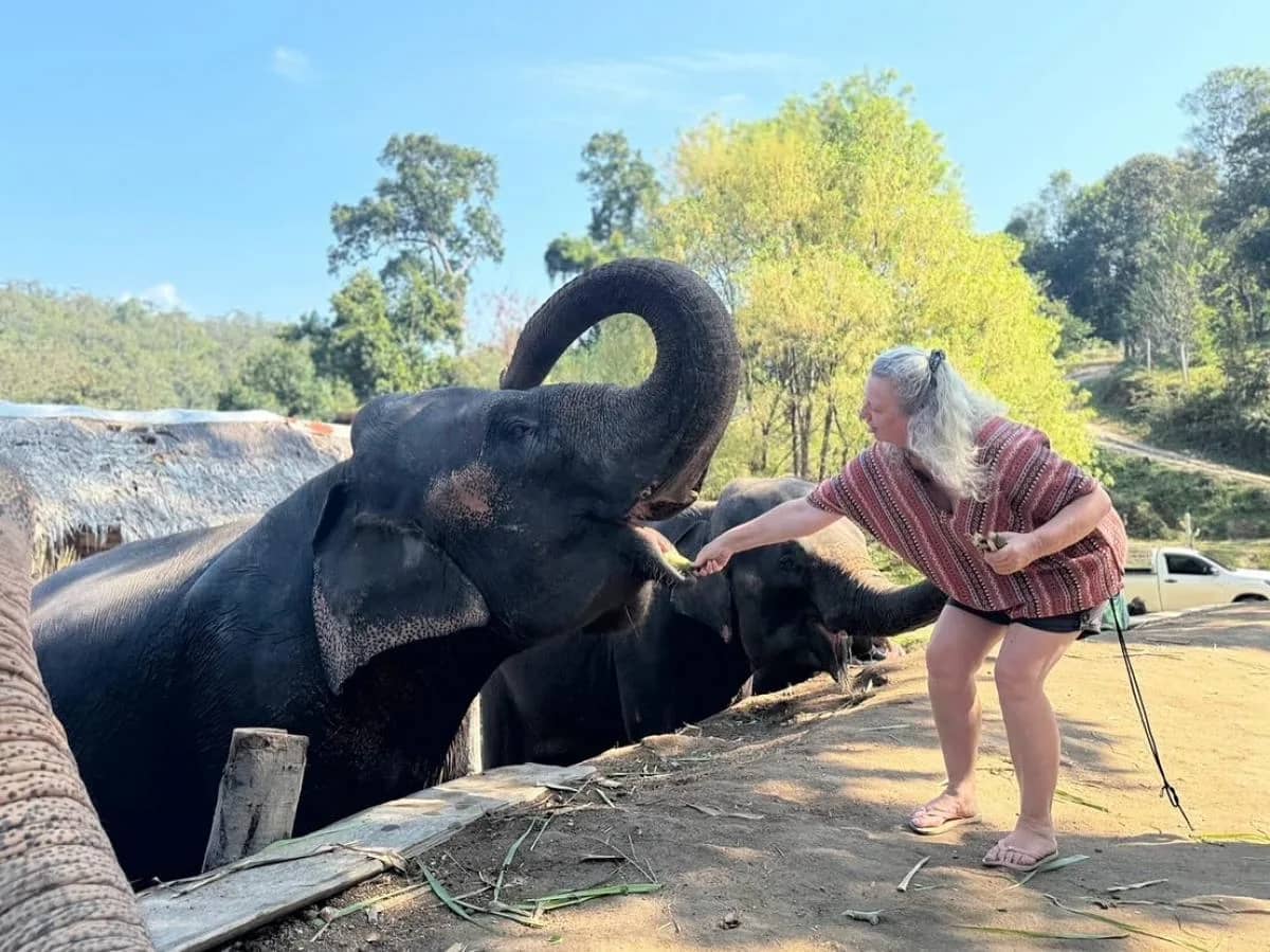 Elephant Sanctuary - Waterfall Tour - photo 6