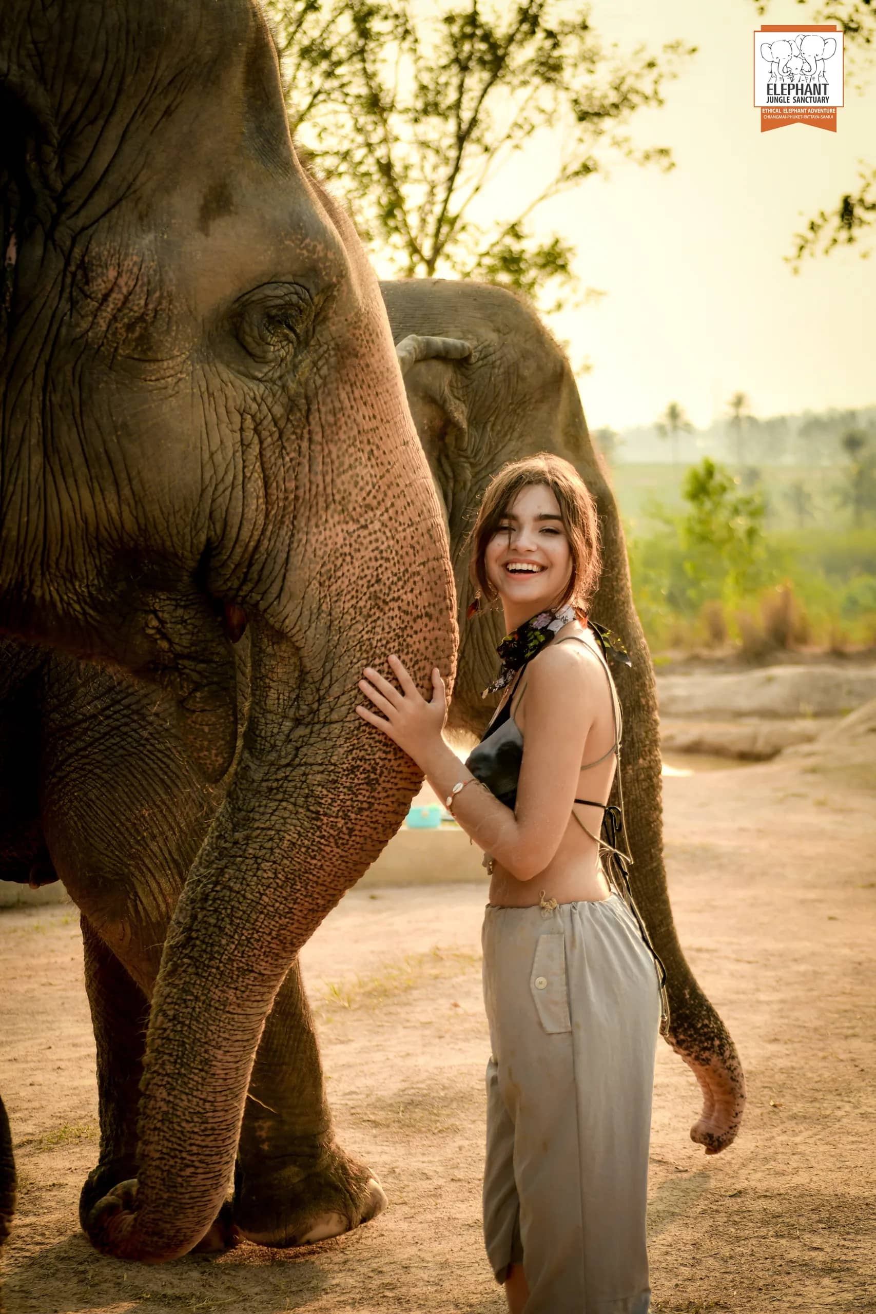 Feed and Bath at Elephant Jungle Sanctuary Pattaya (photo 4)