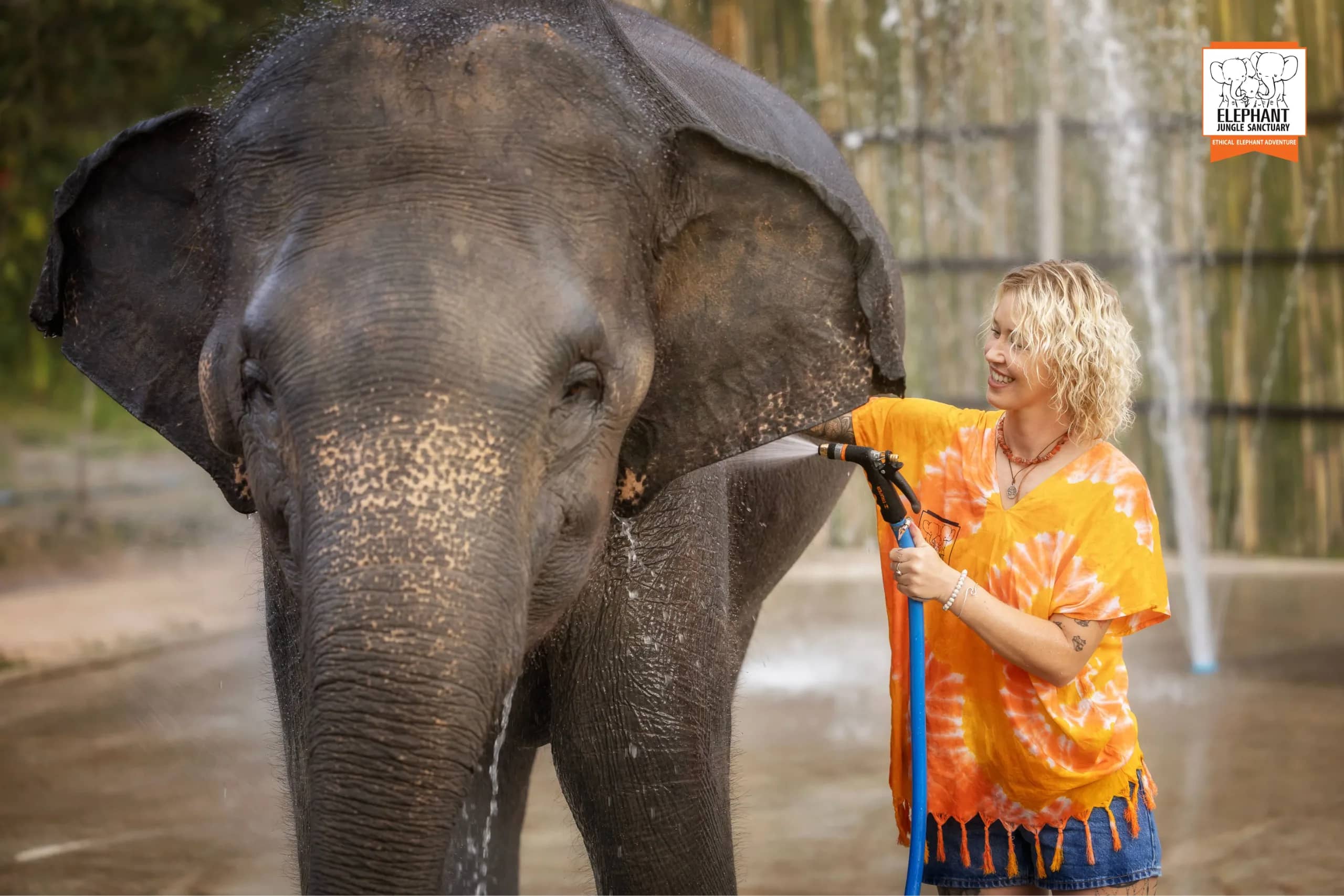 Feed and Shower - Elephant Jungle Sanctuary Chiang Mai