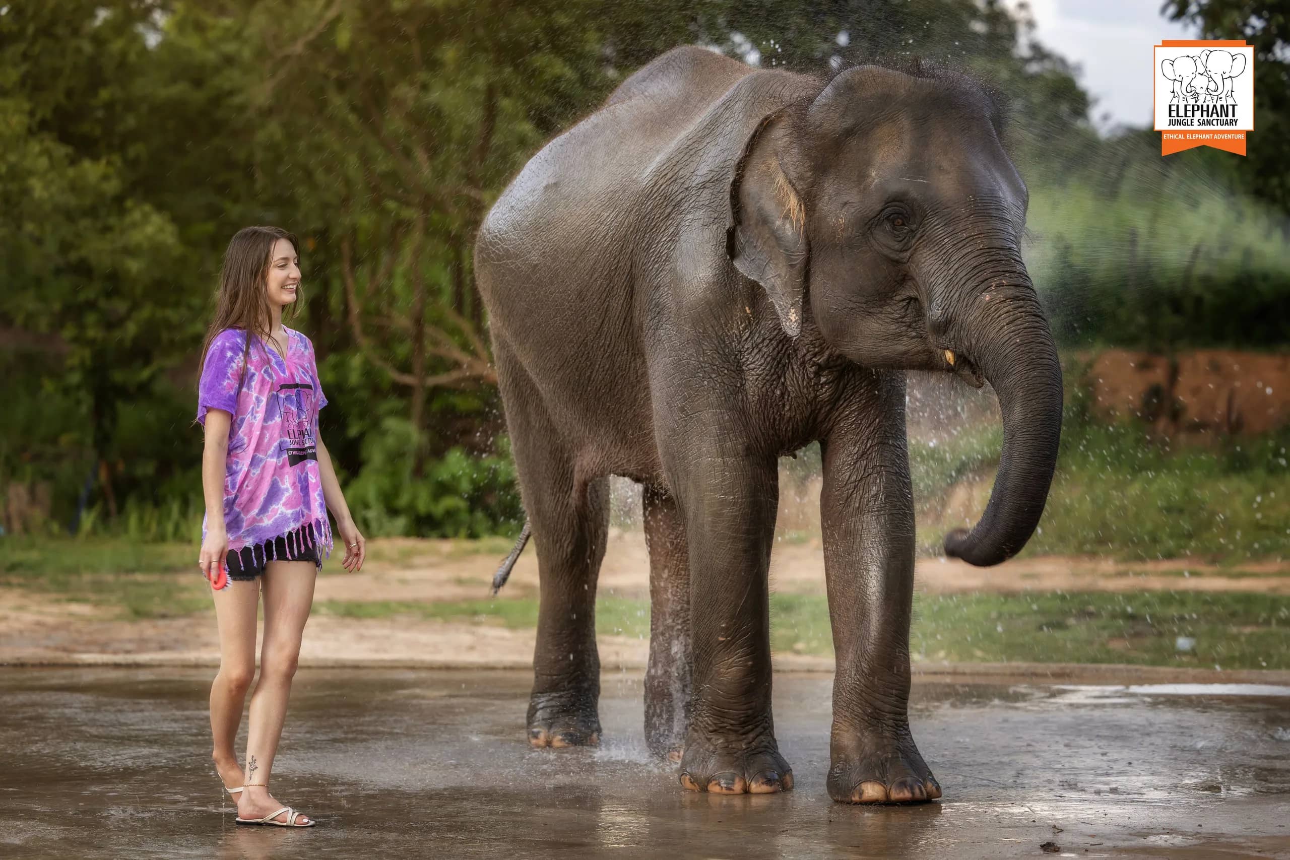 Feed and Shower at Elephant Jungle Sanctuary Chiang Mai (photo 6)
