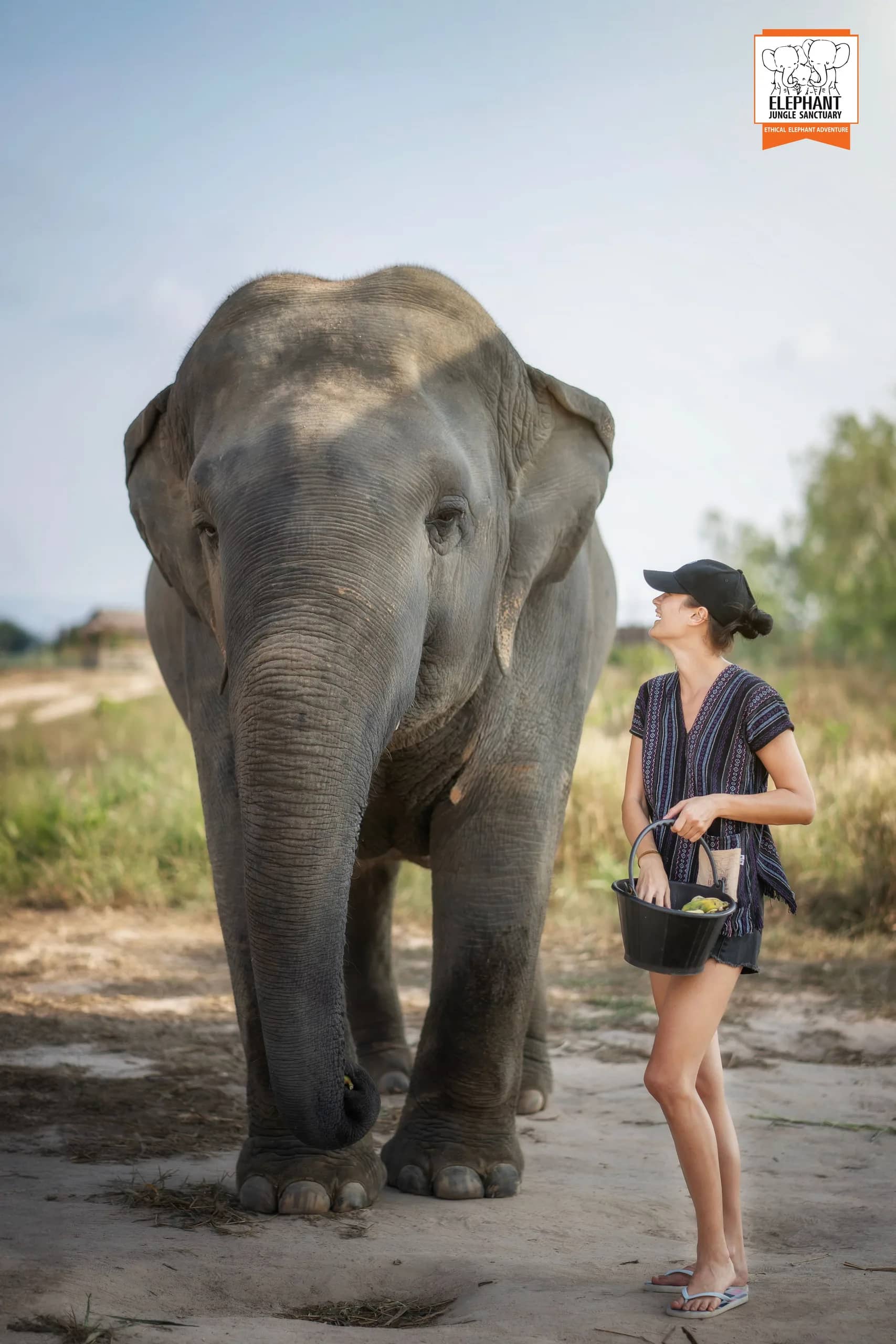 Feed Me at Elephant Jungle Sanctuary Pattaya (photo 2)