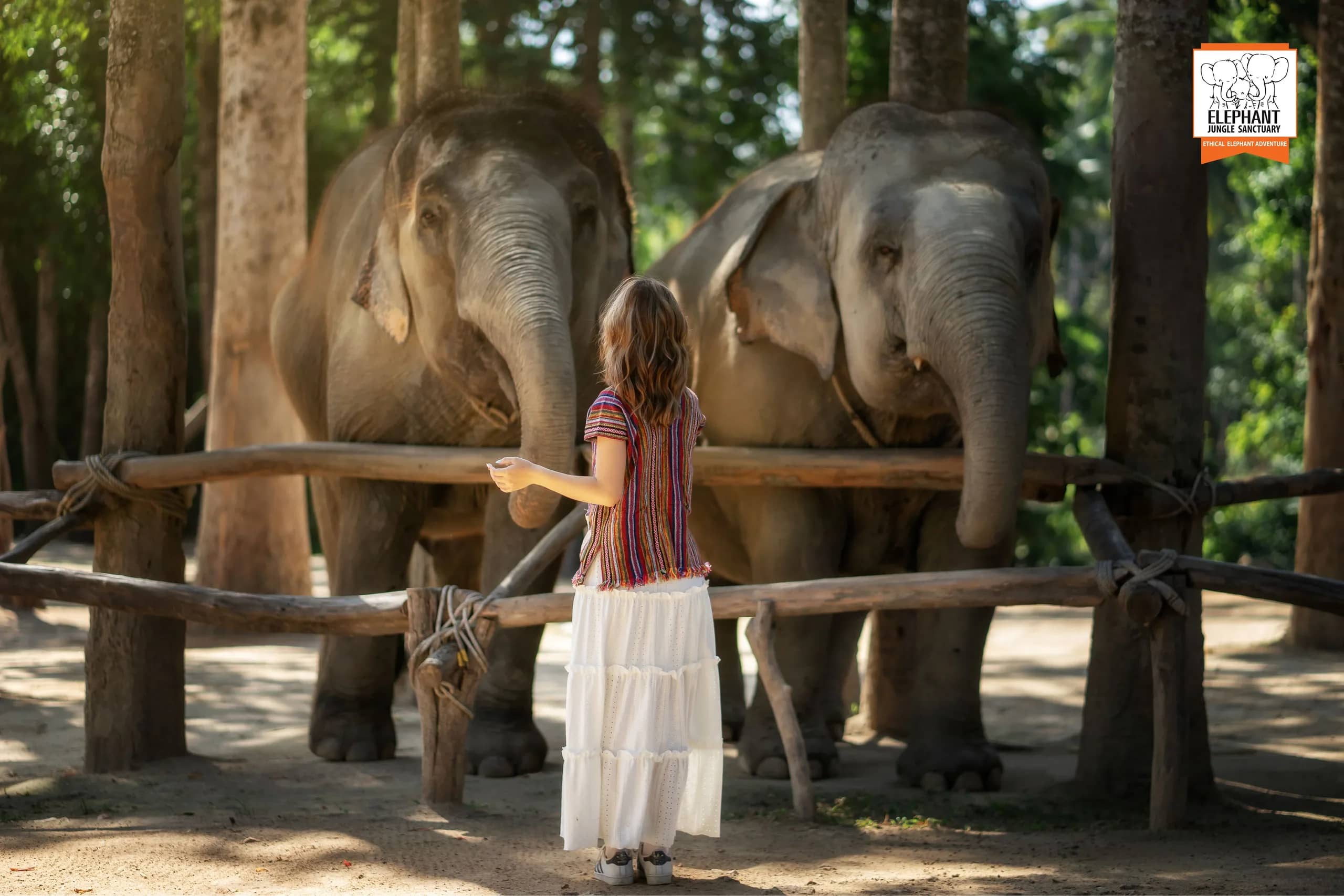 Feed Me - Elephant Jungle Sanctuary Samui
