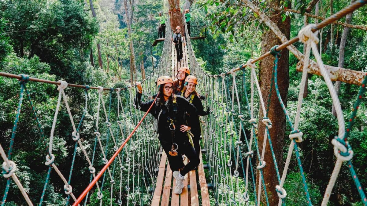 Visitors in helmets walk across a rope suspension bridge high in the jungle canopy