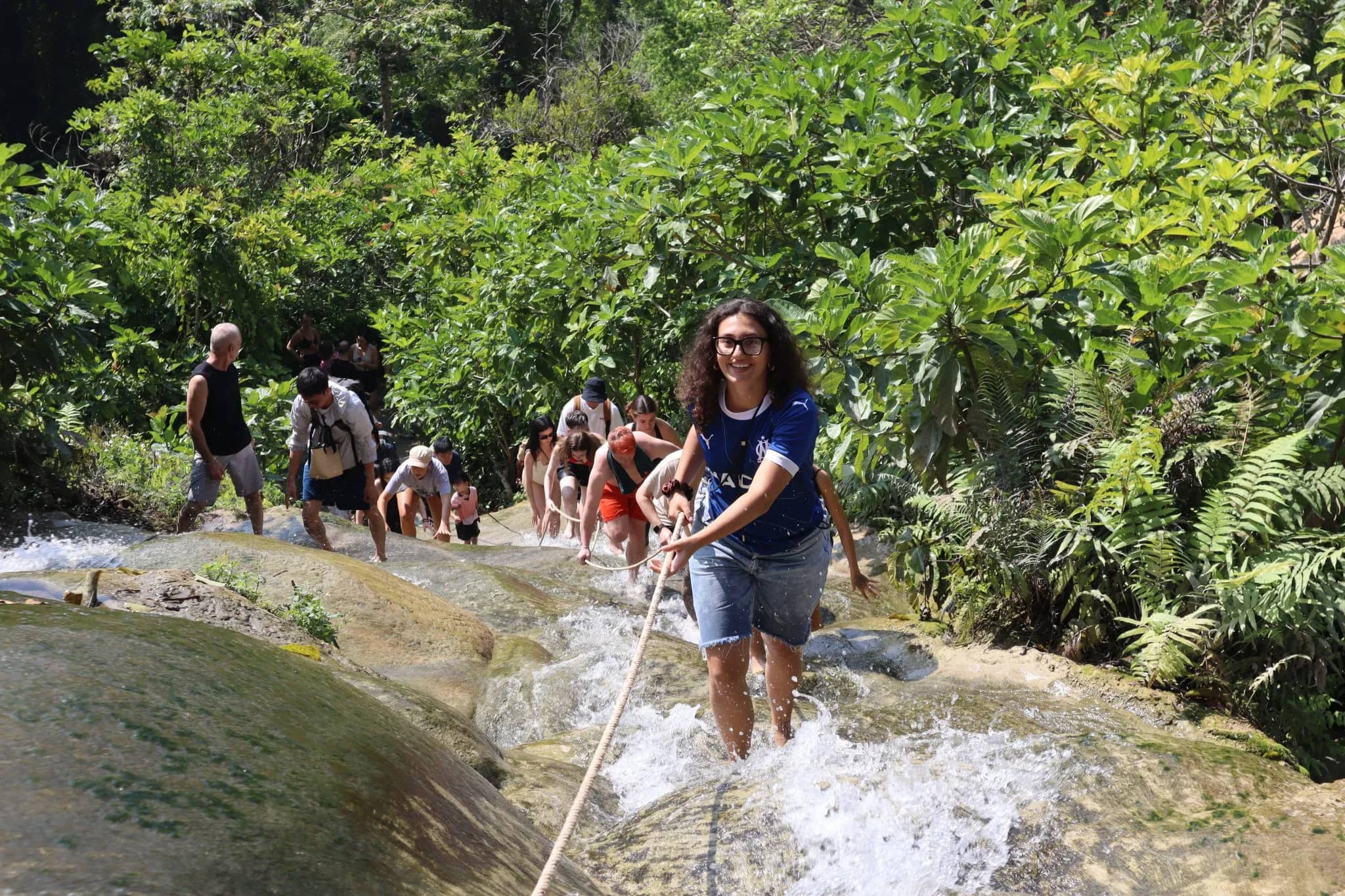 Bamboo Family Elephant Care + Sticky Waterfall