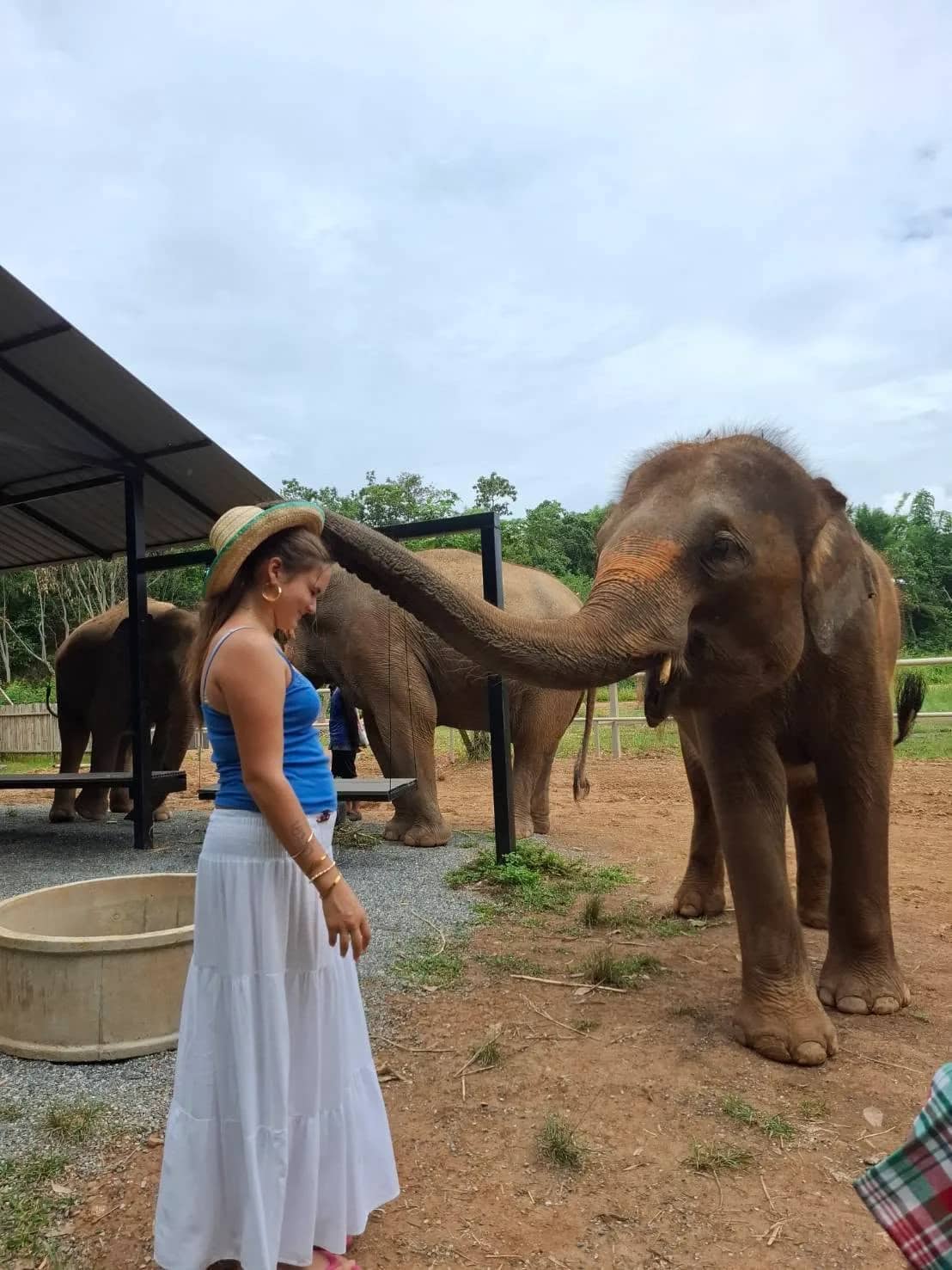 Full Day Elephant Fun Farm & Sticky Waterfall