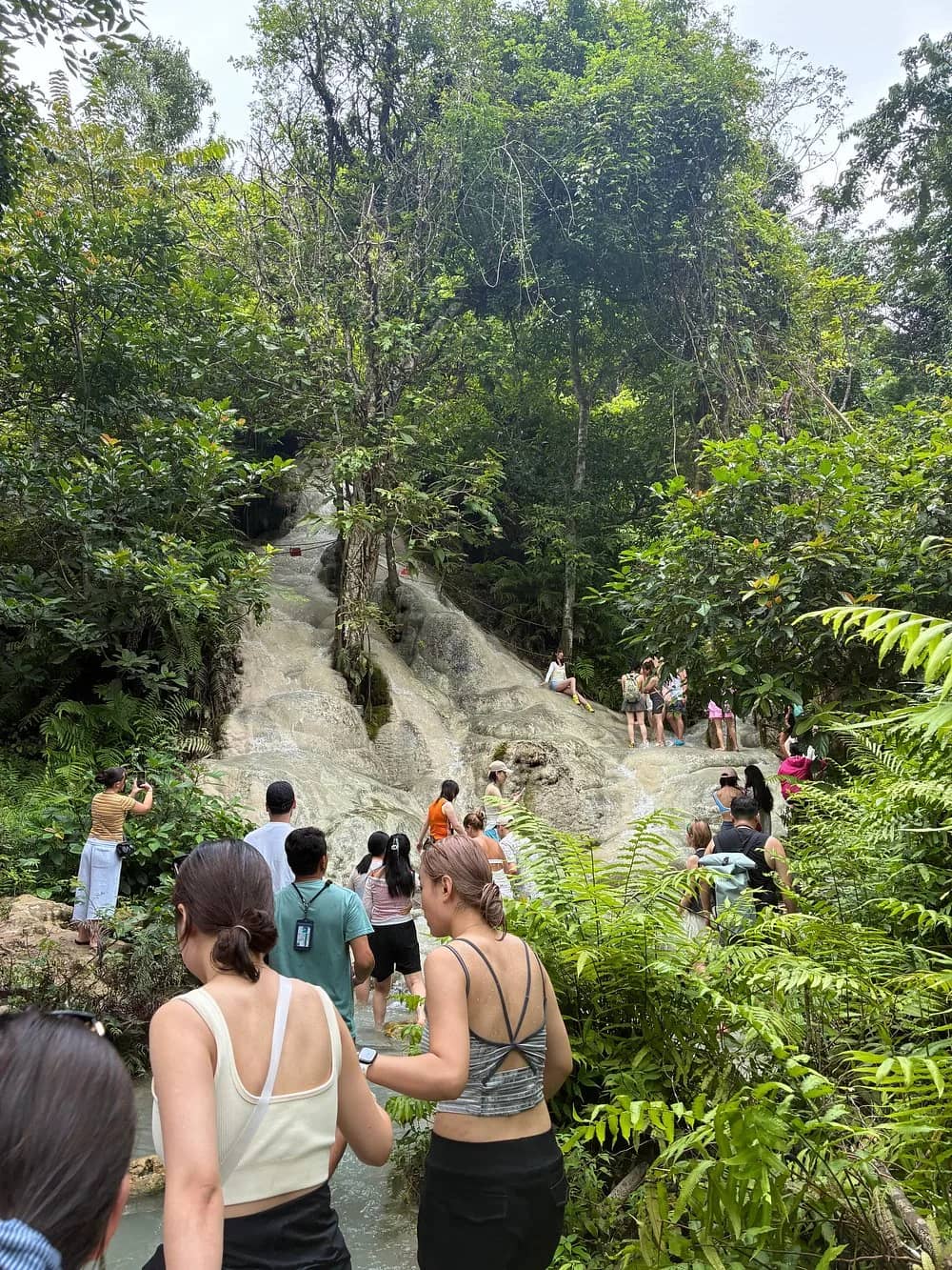 Full-Day Elephant Care + Sticky Waterfall - photo 3