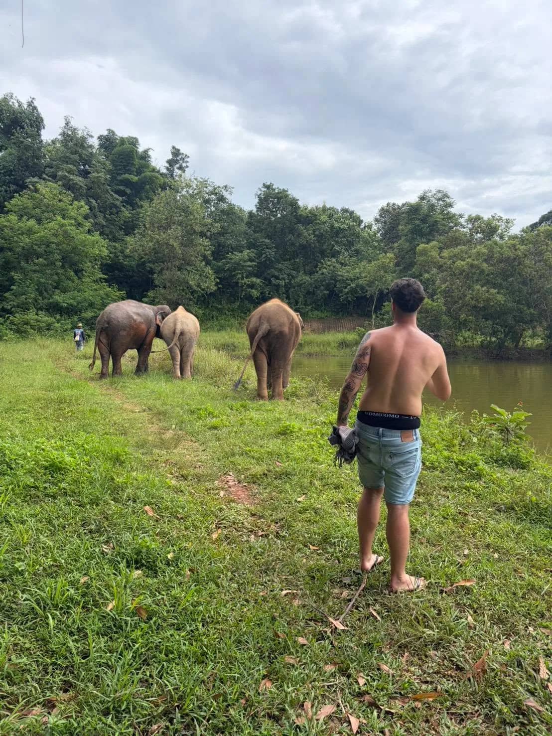 Full Day Elephant Fun Farm & Sticky Waterfall - photo 3