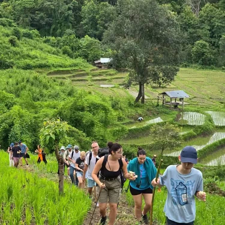 3 Days only walking in the Doi Inthanon Area