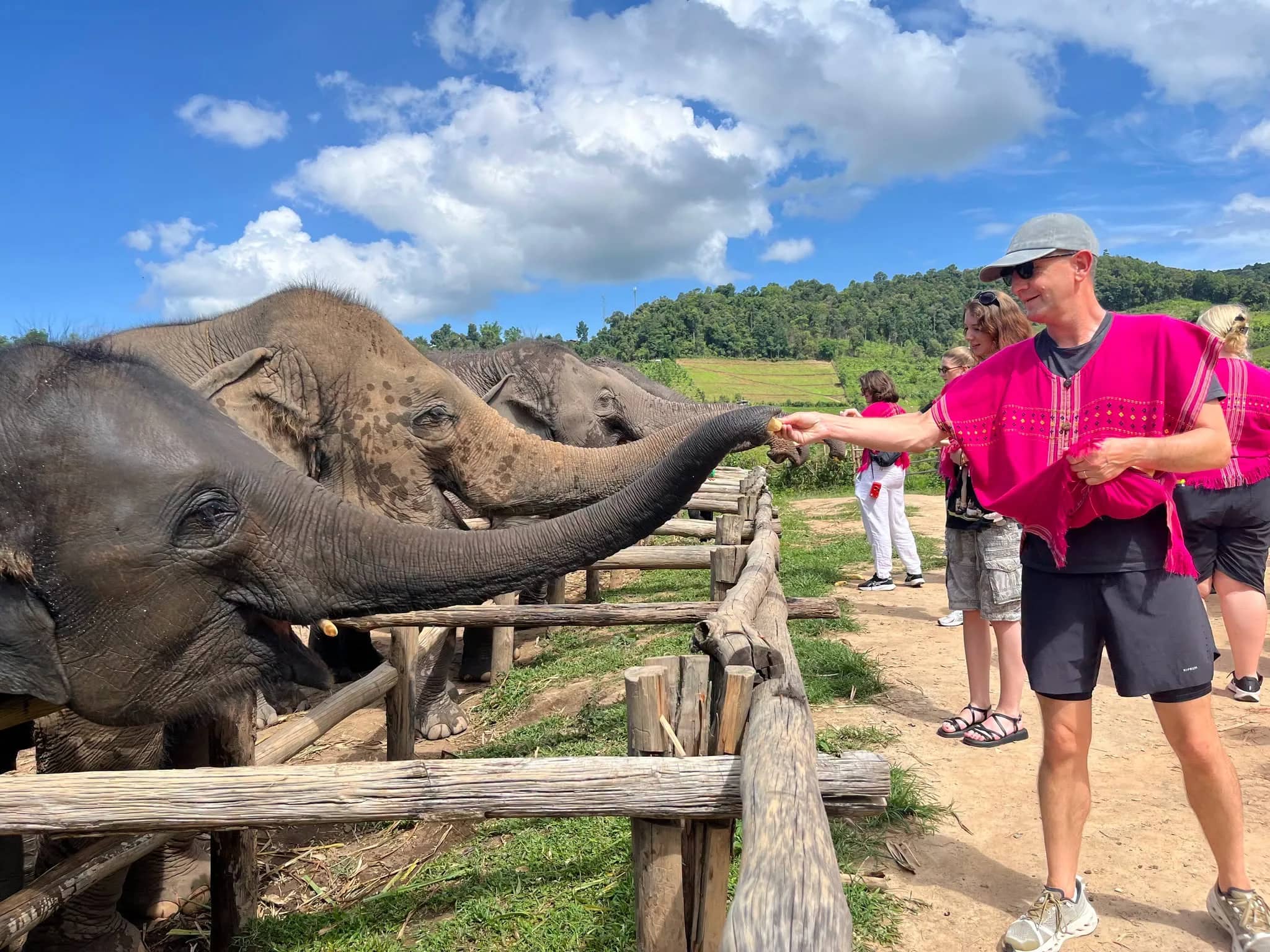 Elephant Observation & Authentic Thai Cooking Class - photo 7