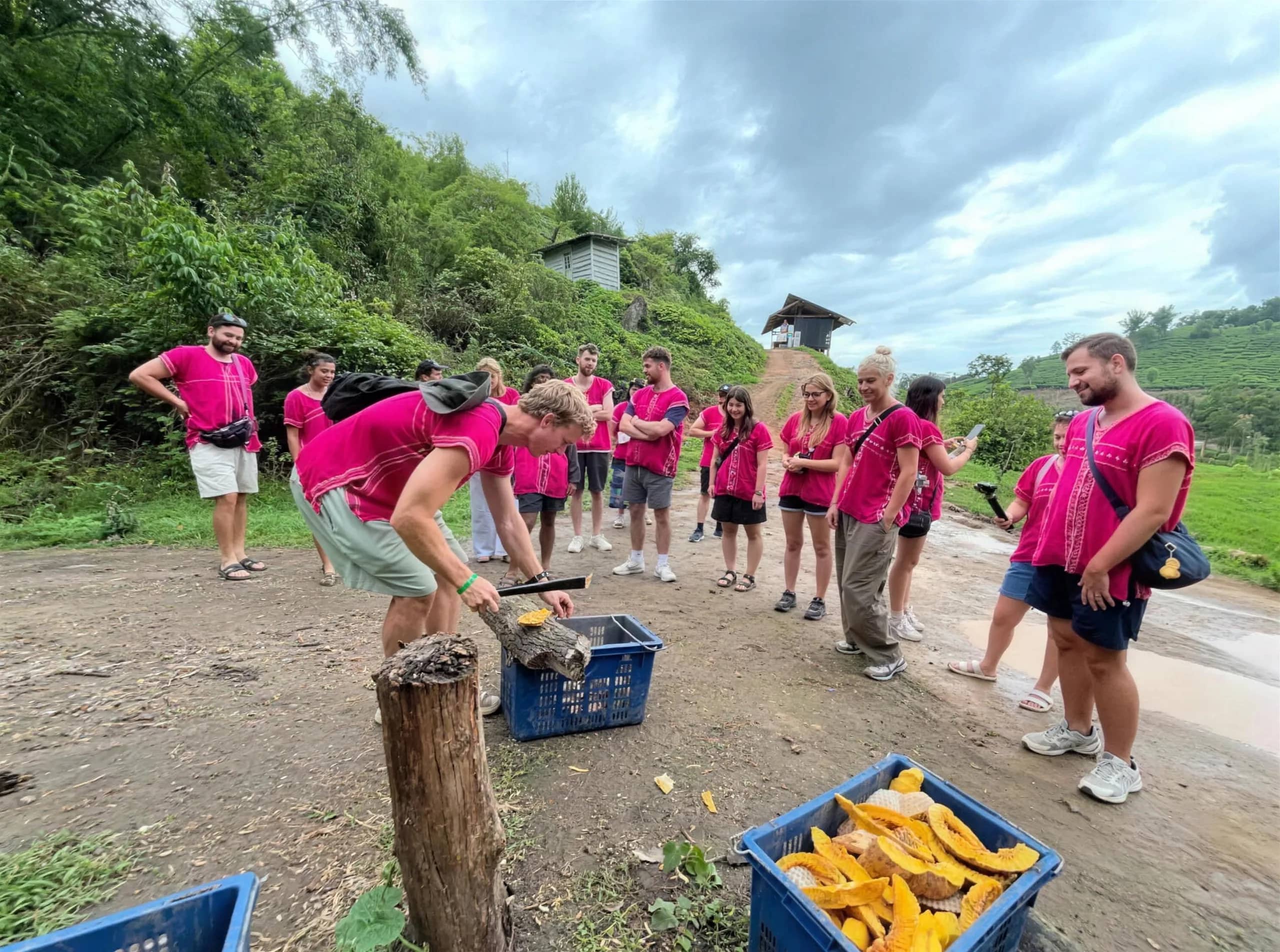 Visitors in pink tops gather around crates of sliced pumpkin to prepare food for the elephants.