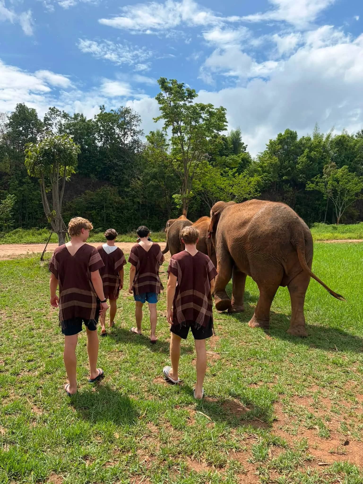 Full Day Elephant Observation + Rainbow Cave + Jungle Adventure Tubing