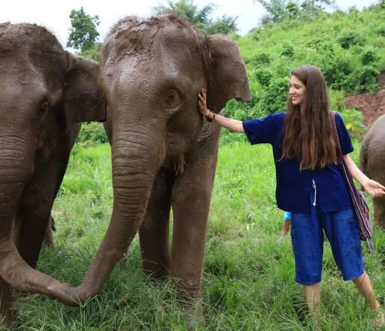 Full Day Elephant Sanctuary & Pad Thai Cooking Experience