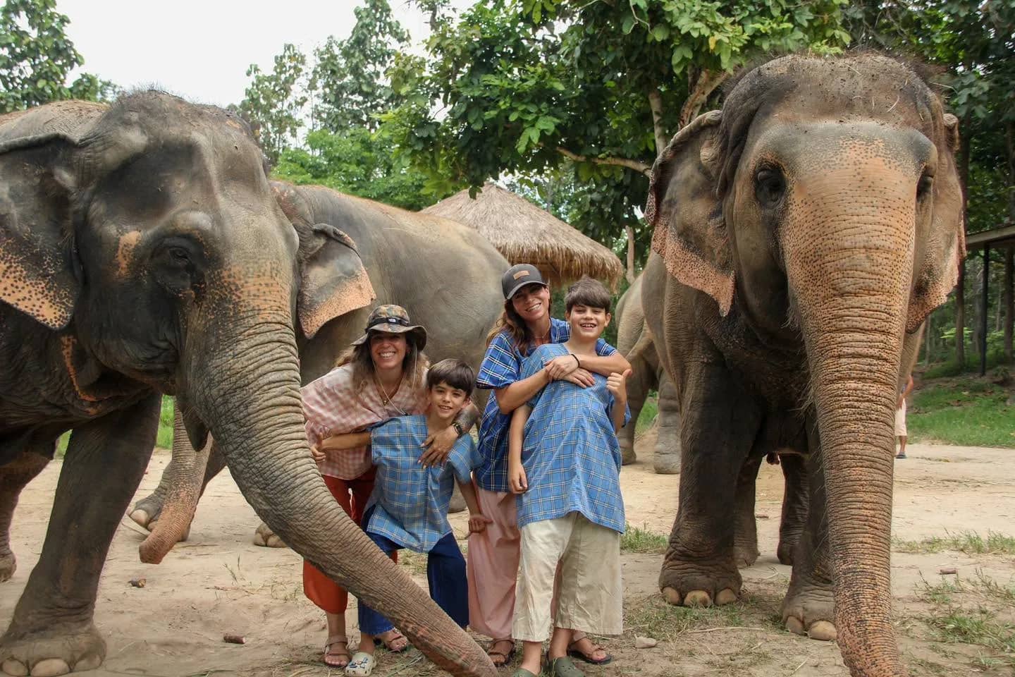 Half Day Afternoon - Mae Rim Elephant Sanctuary