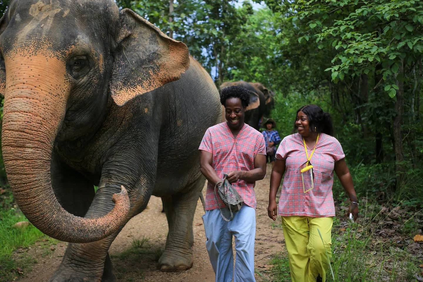Half Day Afternoon - Mae Rim Elephant Sanctuary - photo 3