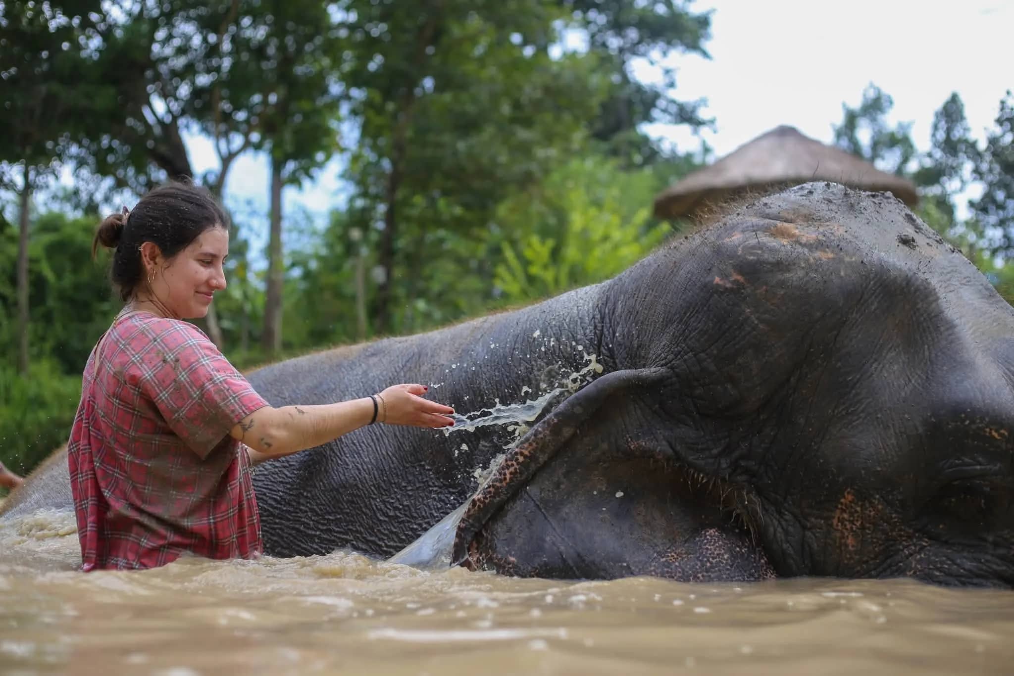 Half Day Afternoon - Mae Rim Elephant Sanctuary - photo 6