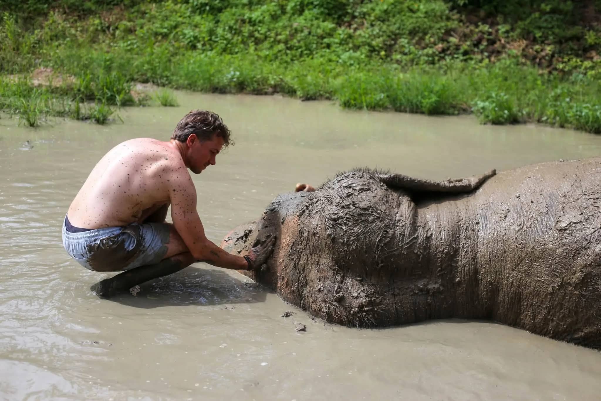 Half Day Afternoon - Mae Rim Elephant Sanctuary - photo 7