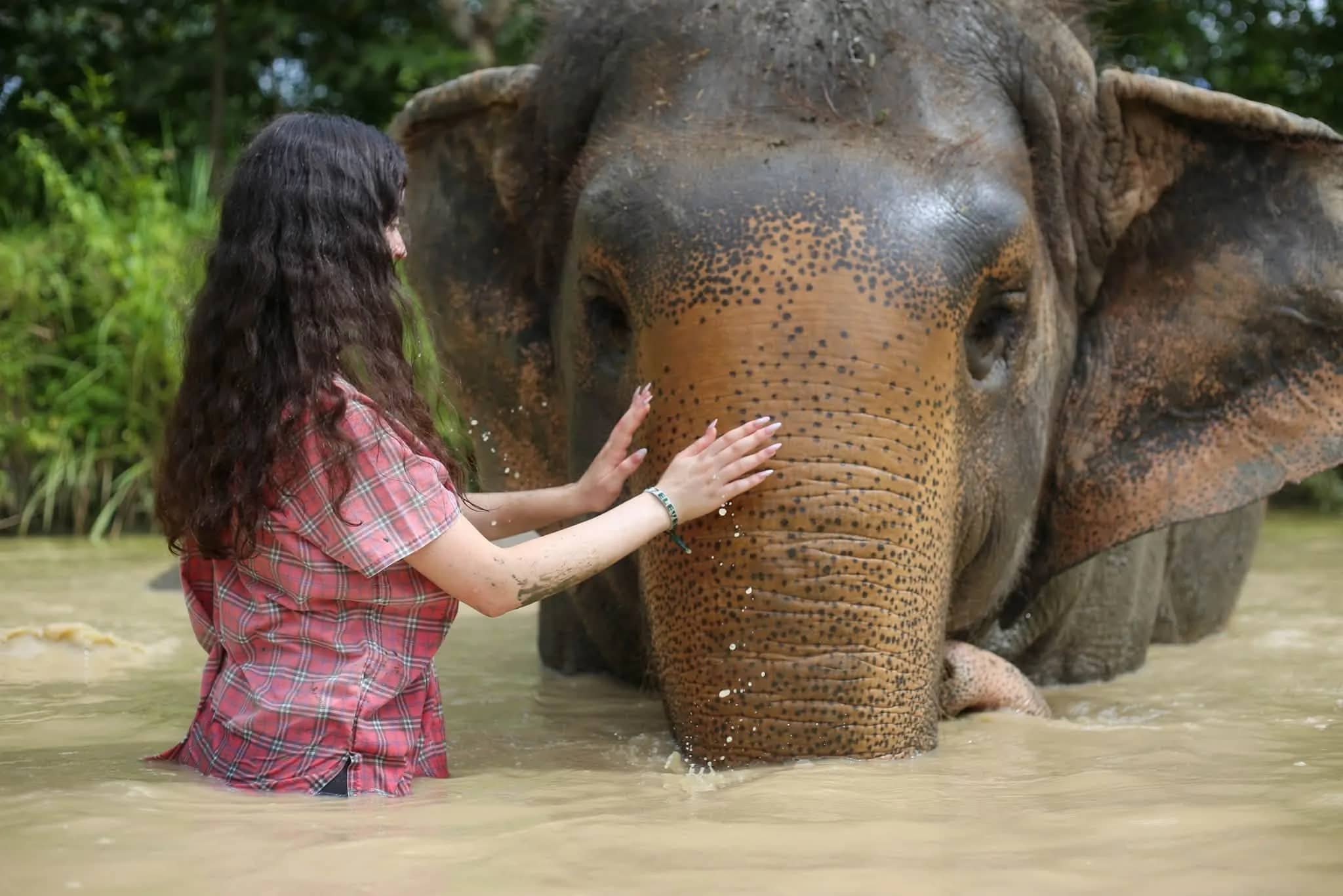 Full Day Elephant Care - Mae Rim Elephant Sanctuary - photo 2