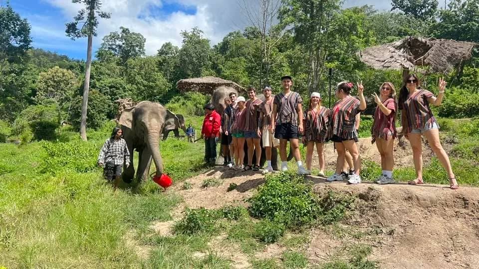 Half Day Afternoon Visit to Elephant Nature Park - photo 4