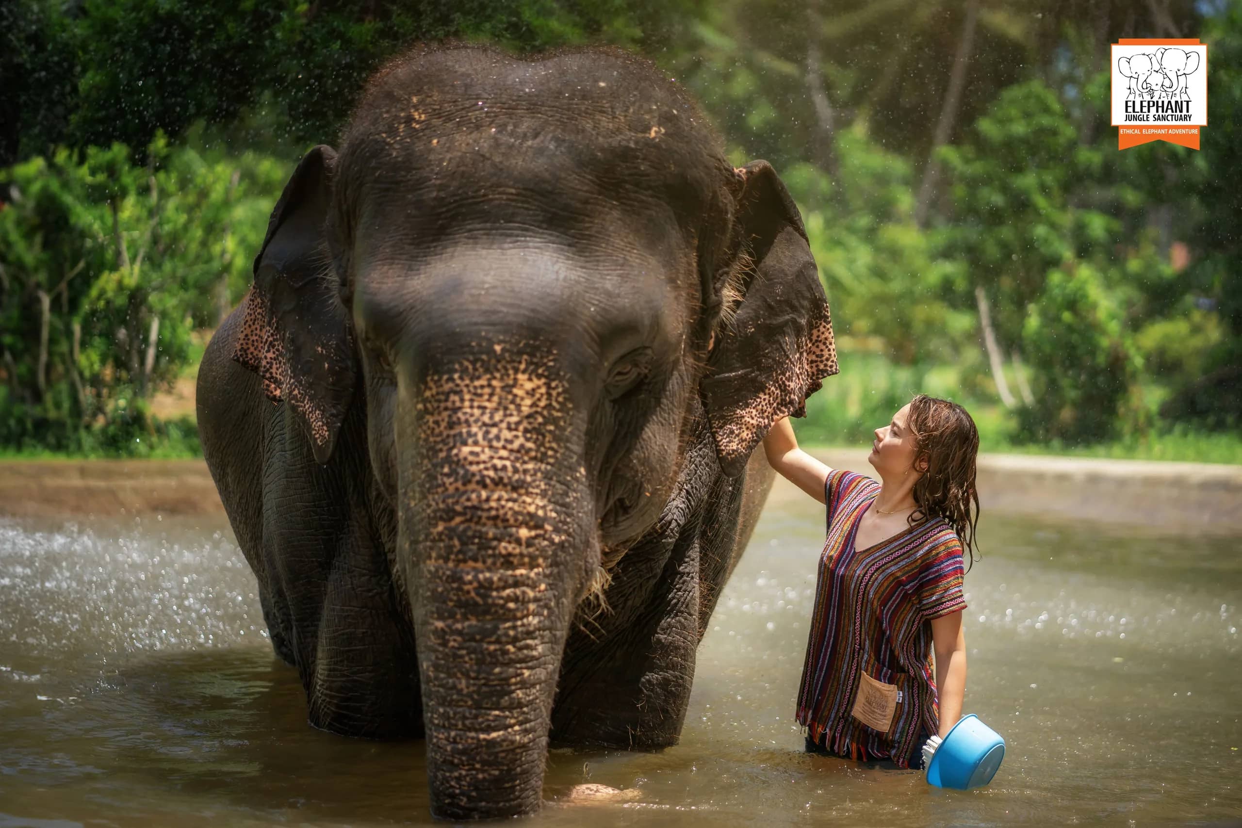 Half Day Care at Elephant Jungle Sanctuary Samui (photo 4)