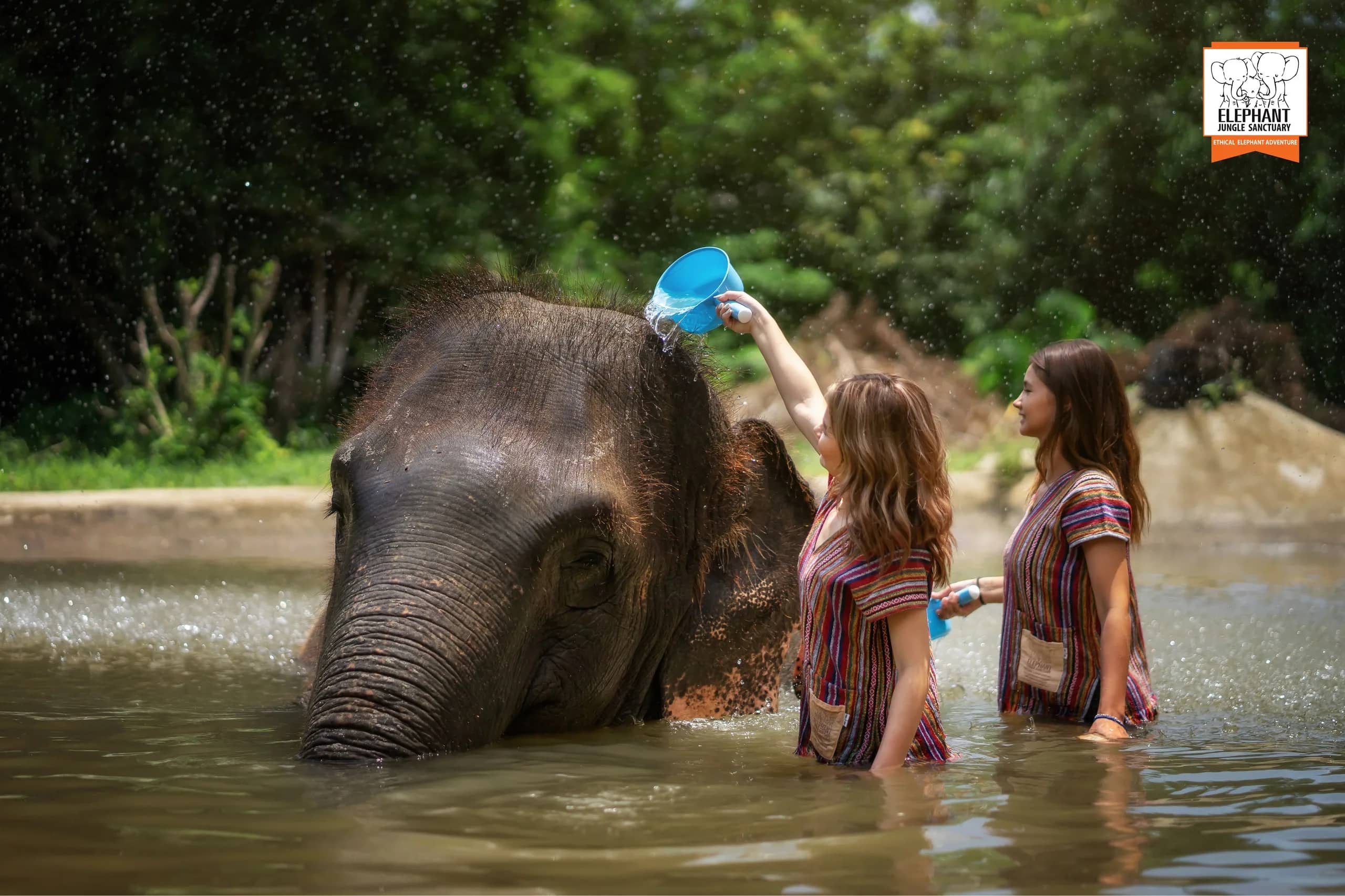 Half Day Care at Elephant Jungle Sanctuary Samui (photo 6)