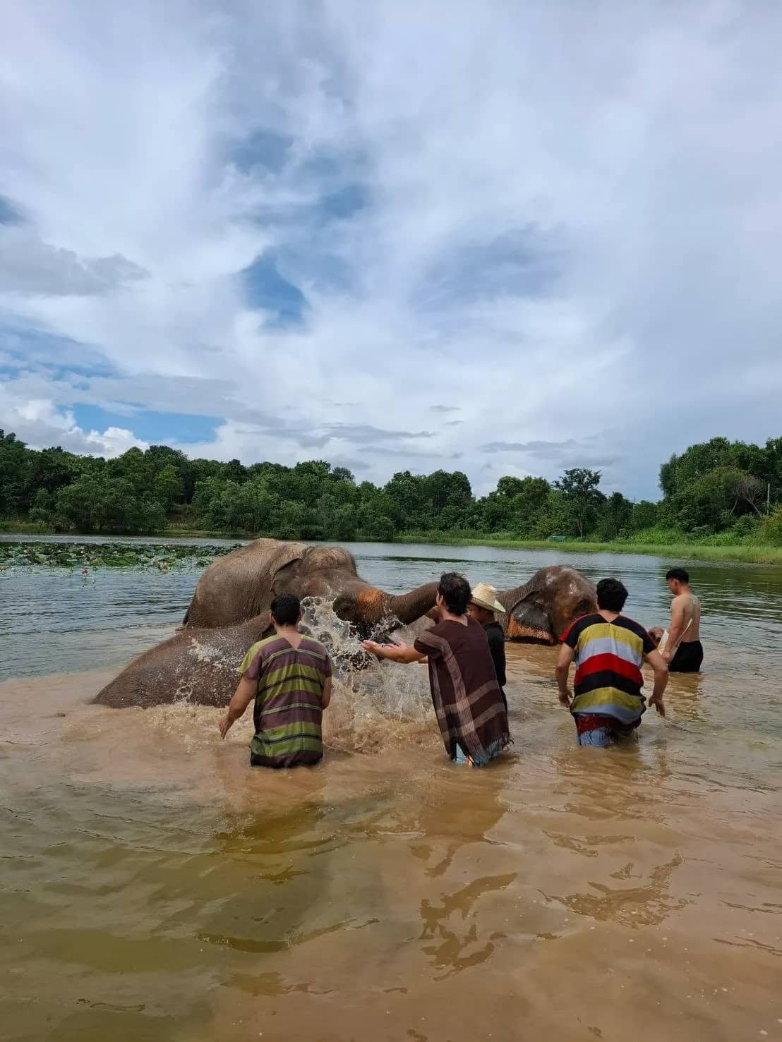 Full Day Elephant Care & Bamboo Rafting - photo 2