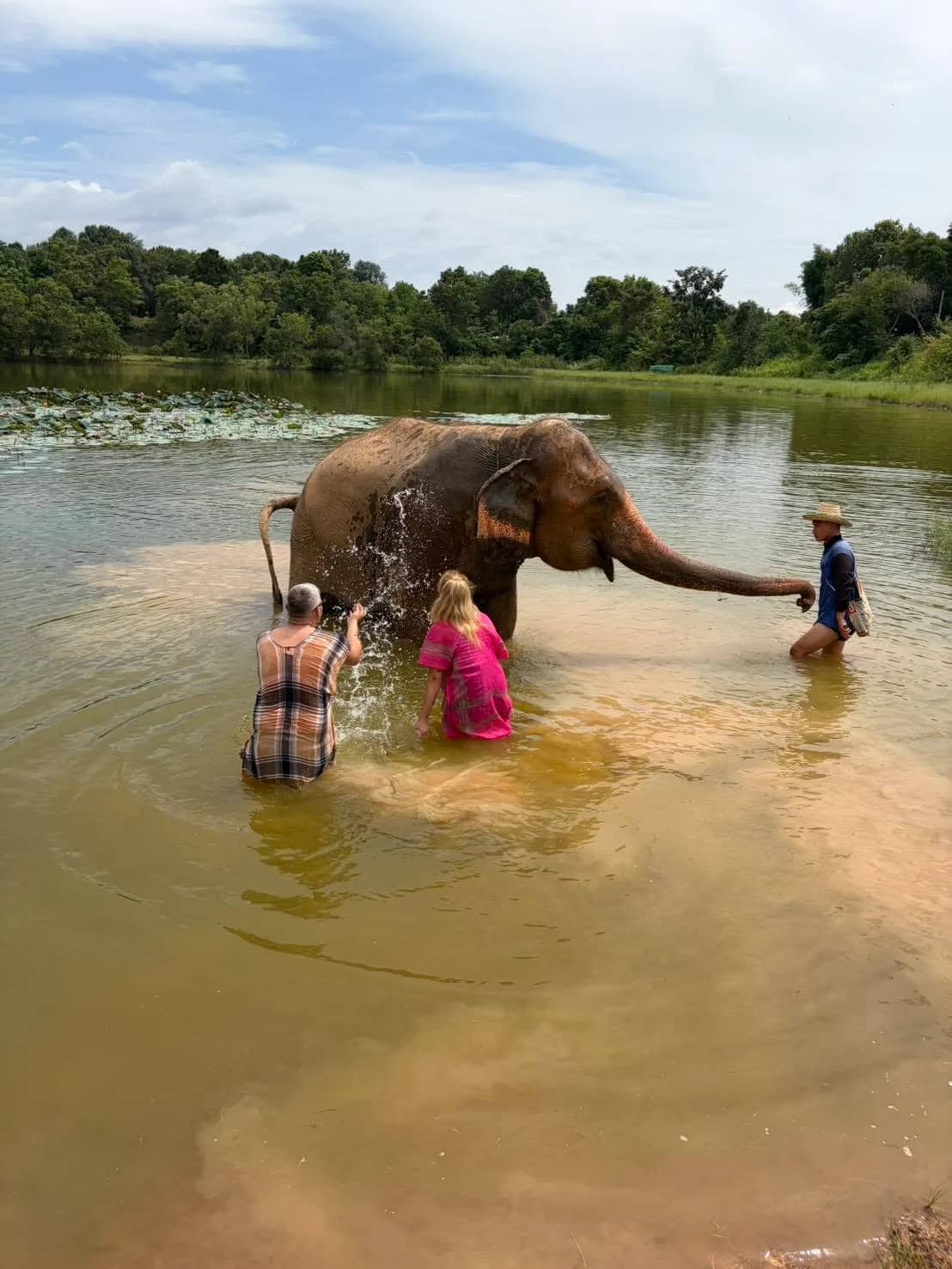 Half Day Elephant Care Activities (Morning) - photo 3