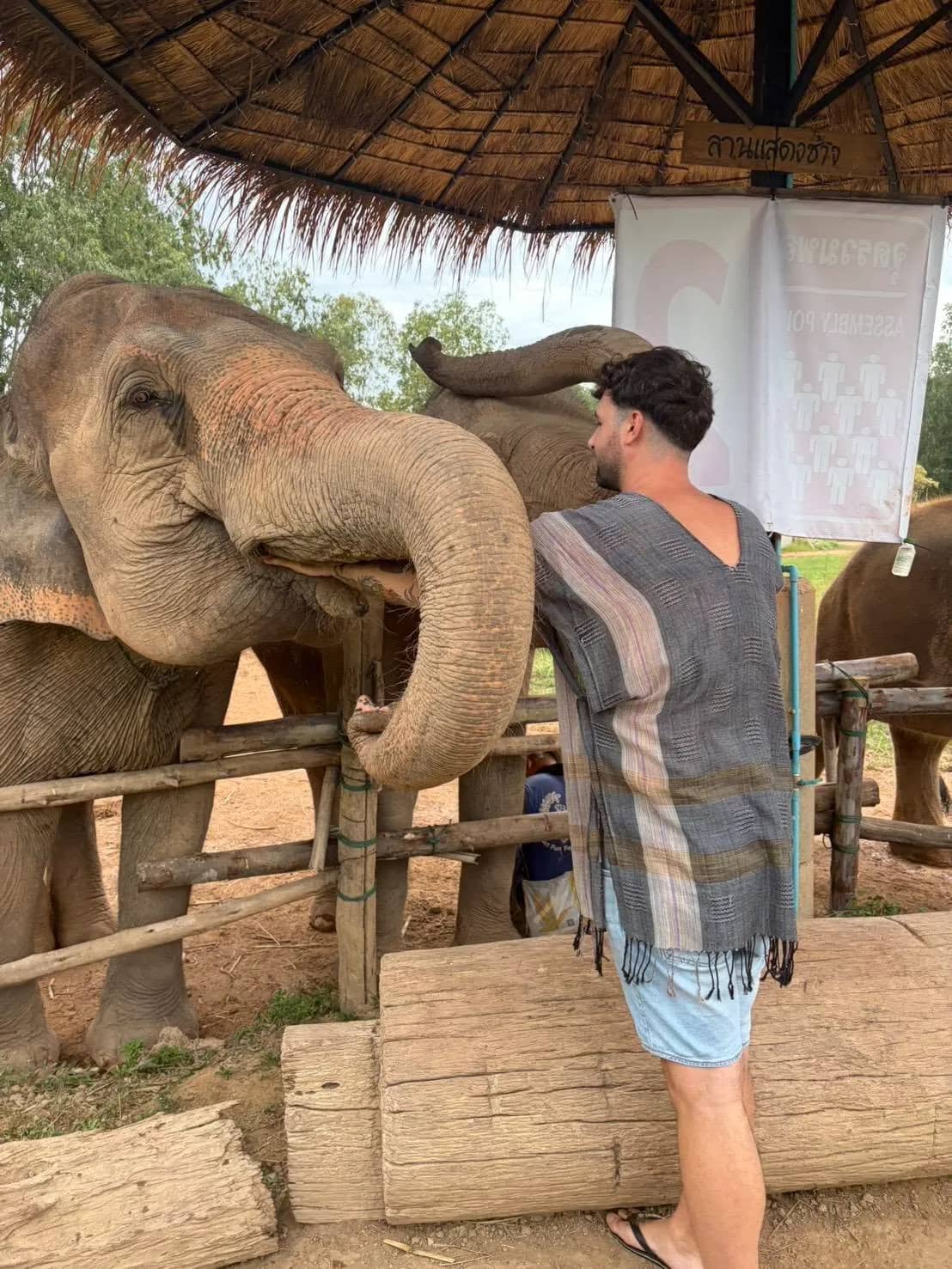Half Day Elephant Care Activities (Morning) - photo 4