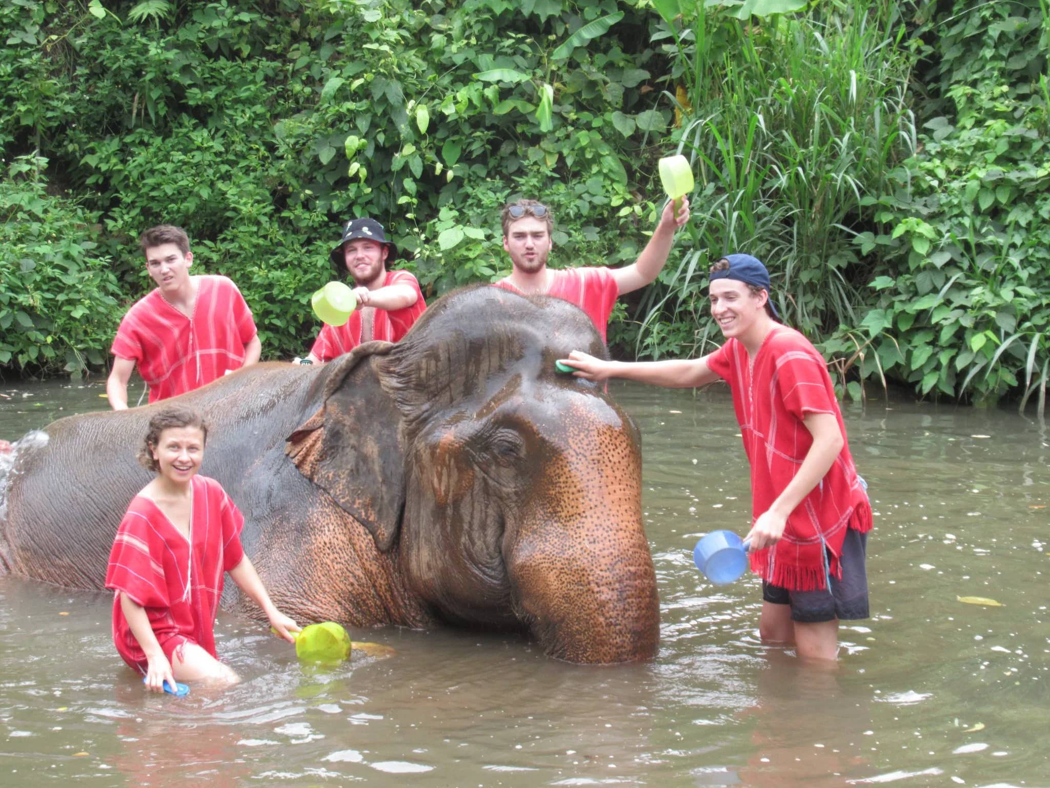 Half Day Elephant Care & Whitewater Rafting (6km)
