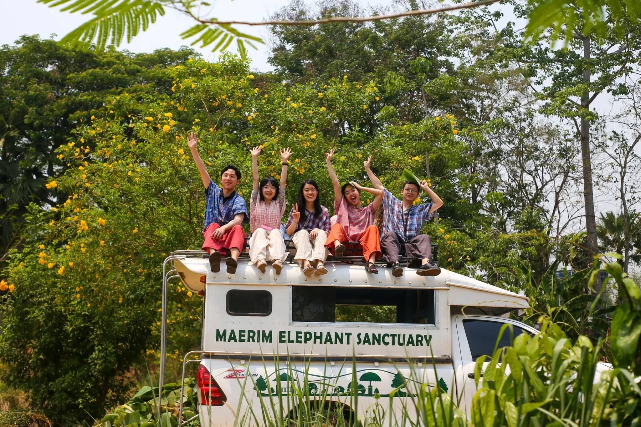 Elephant Care + Sticky Waterfall Tour - photo 4