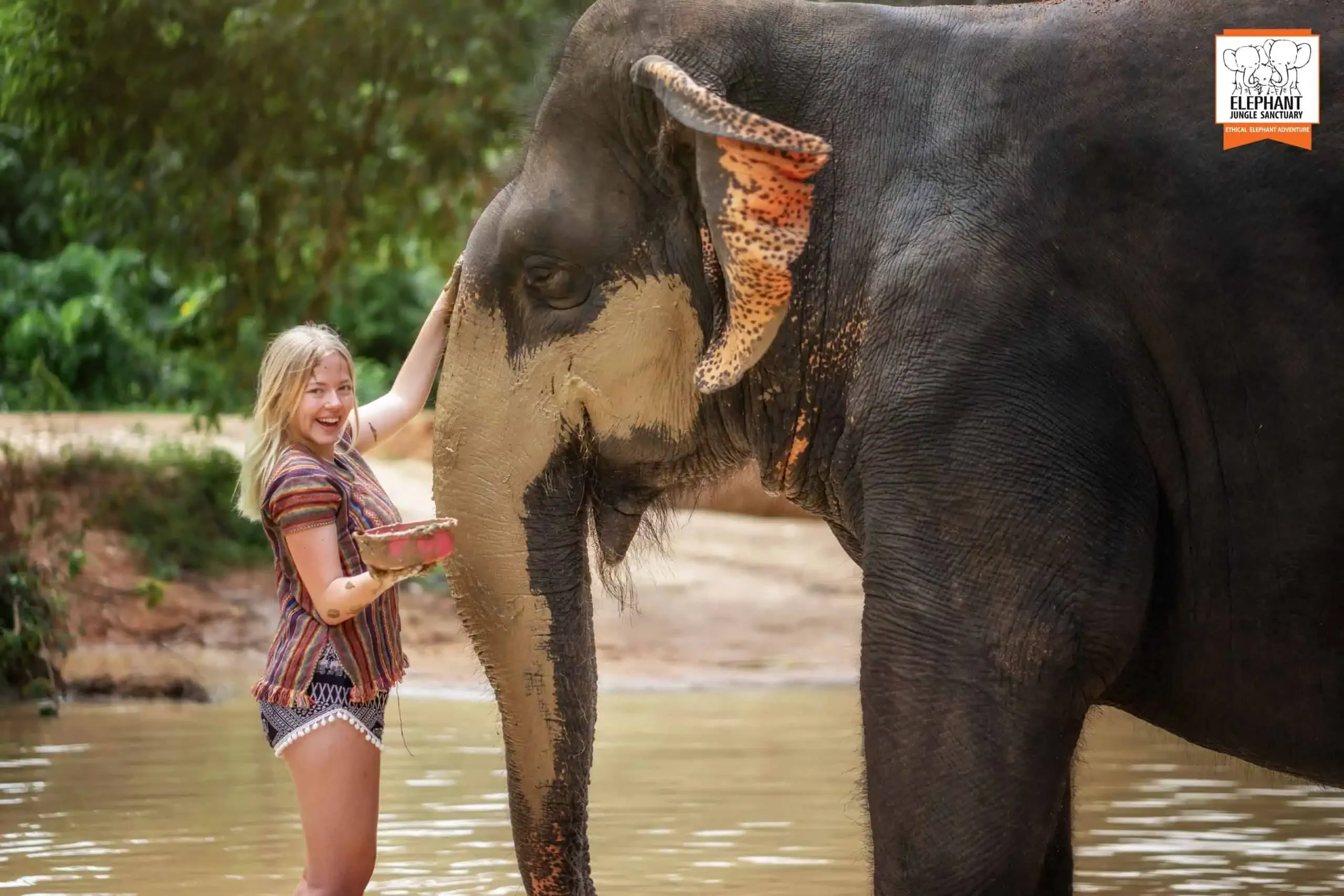 Half Day Elephant Jungle Sanctuary Phuket